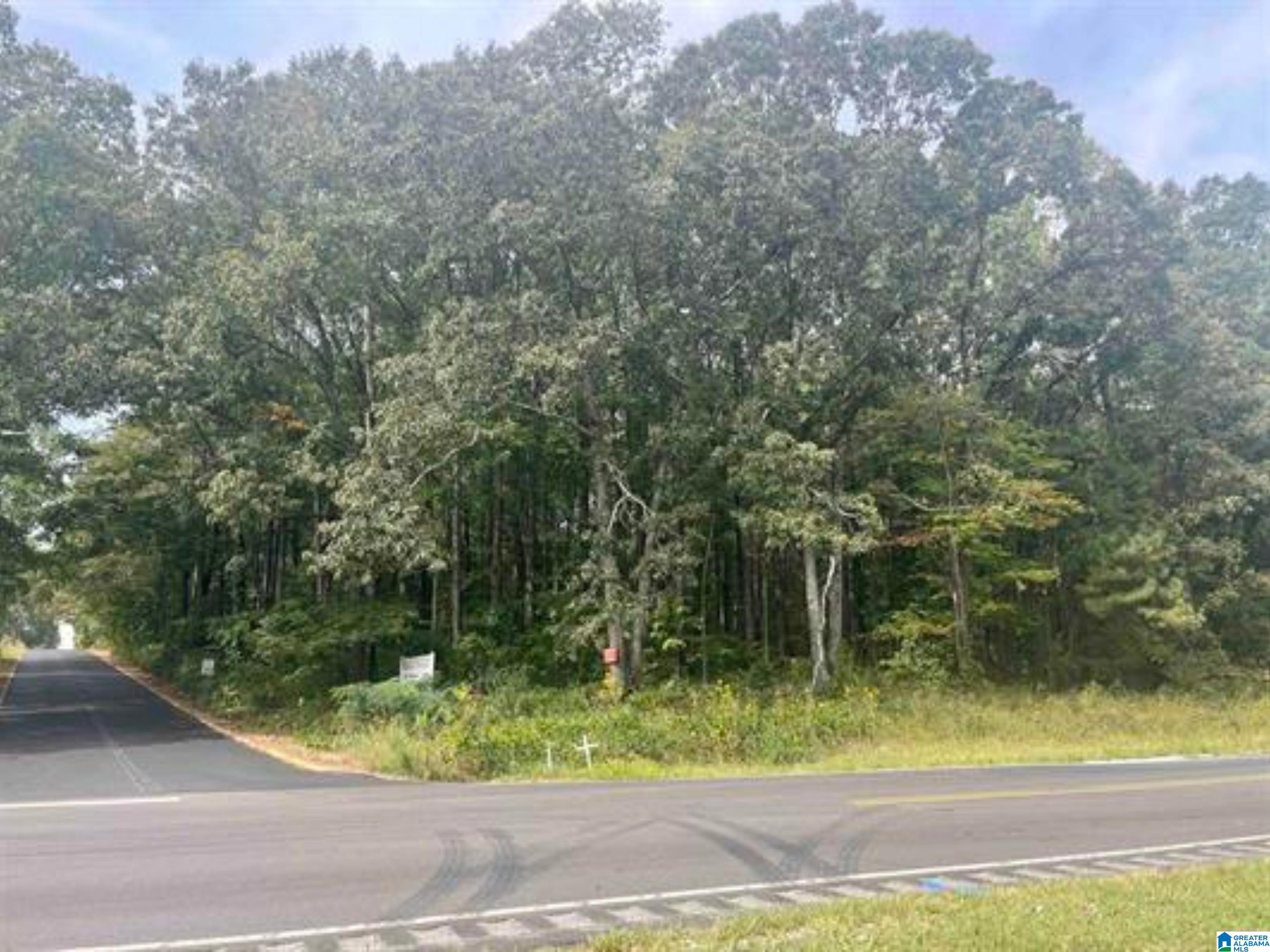 5.7 Acres HIGHWAY 431