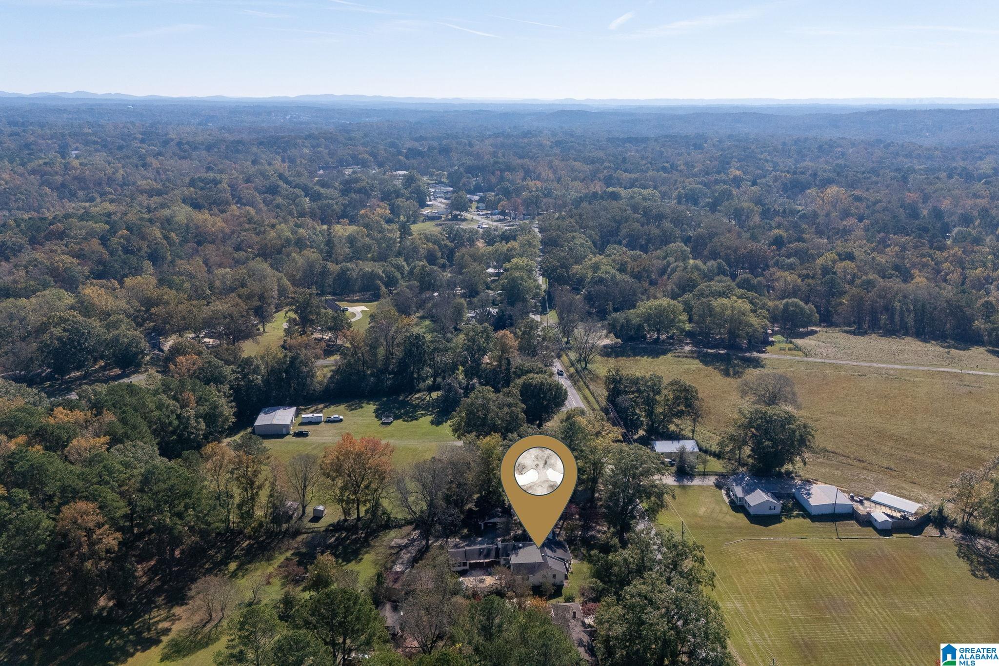 Homes for sale in Mount Olive, AL | 2945 Mount Olive Road, Mount Olive, AL 35117 | MLS# 21438912