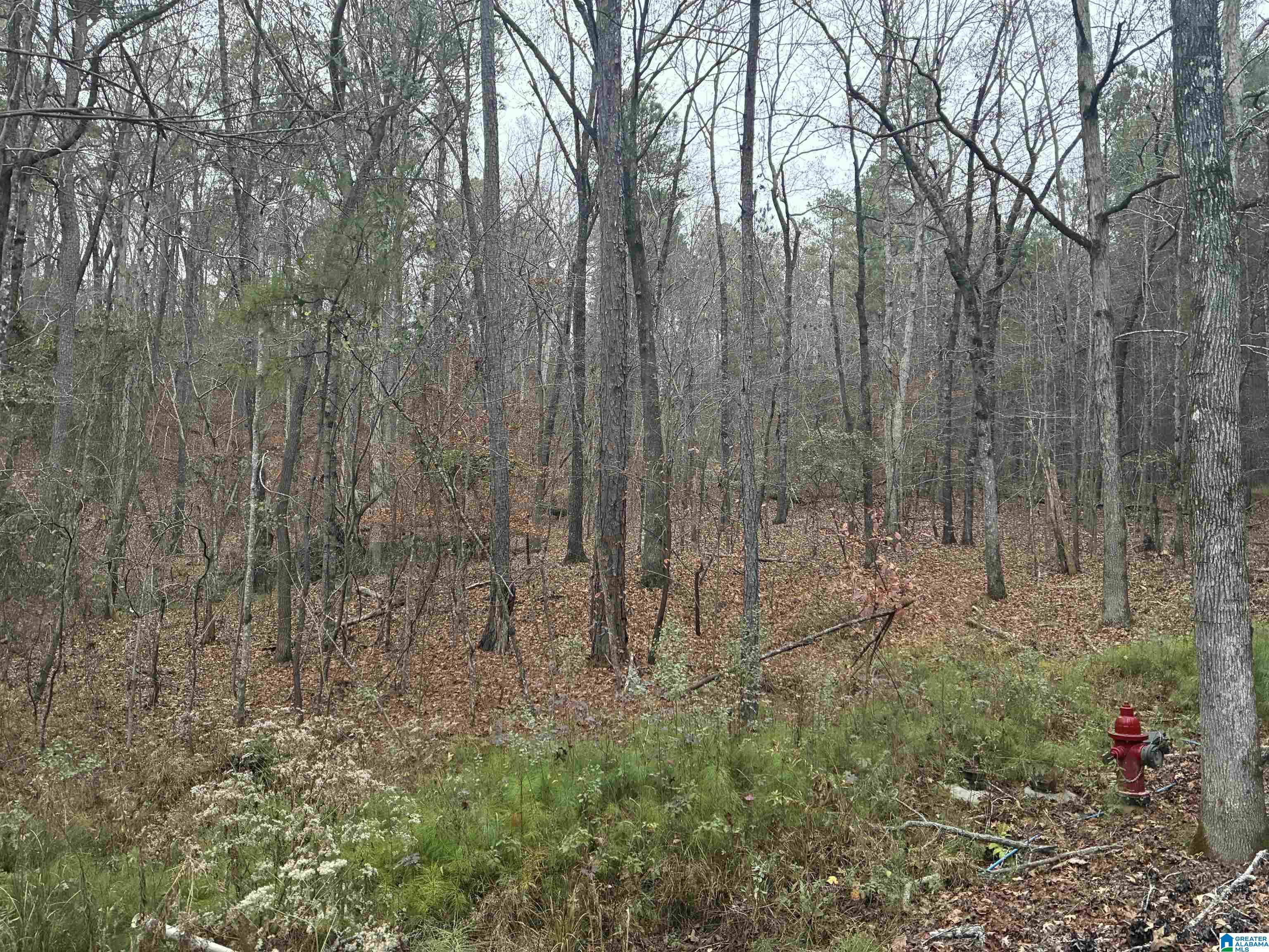 605 PINE MOUNTAIN TRAIL