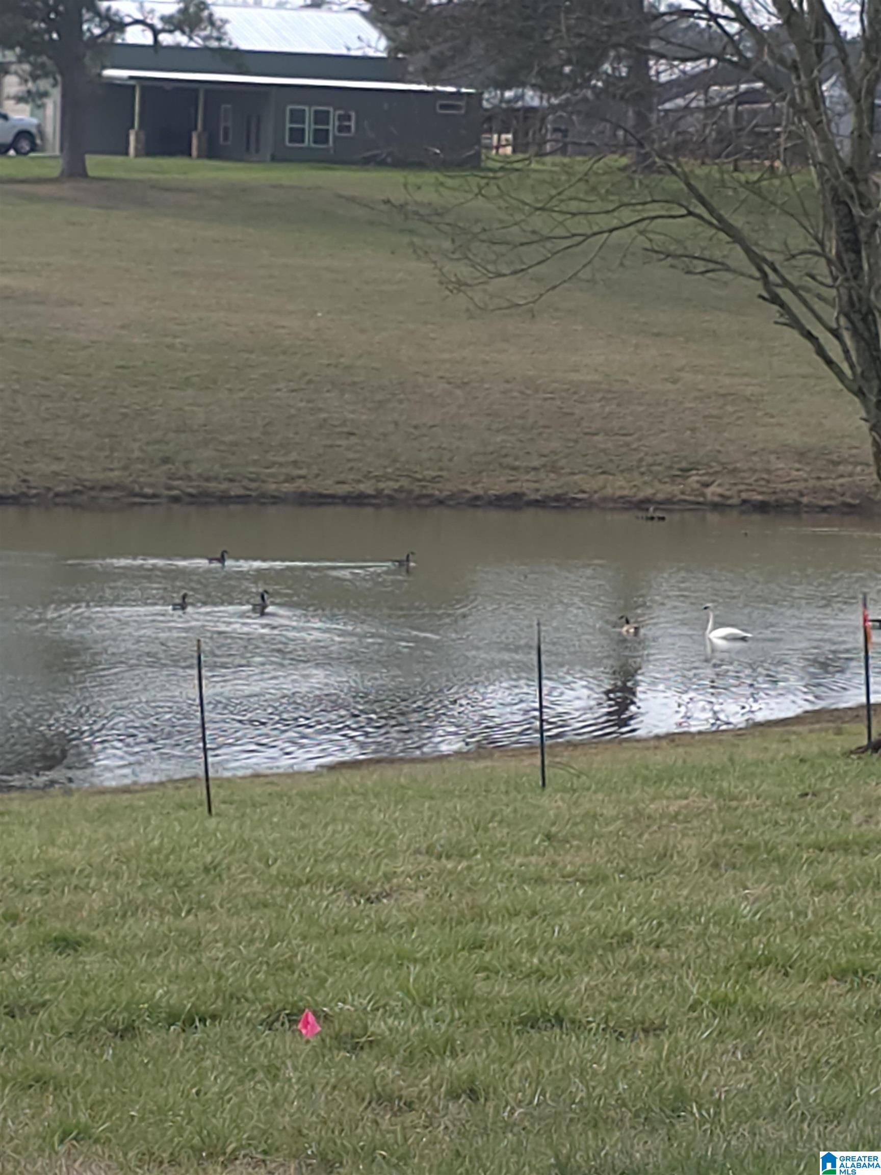 Homes for sale in Hanceville, AL | 1374 County Road 617, Hanceville, AL 35077 | MLS# 21439018