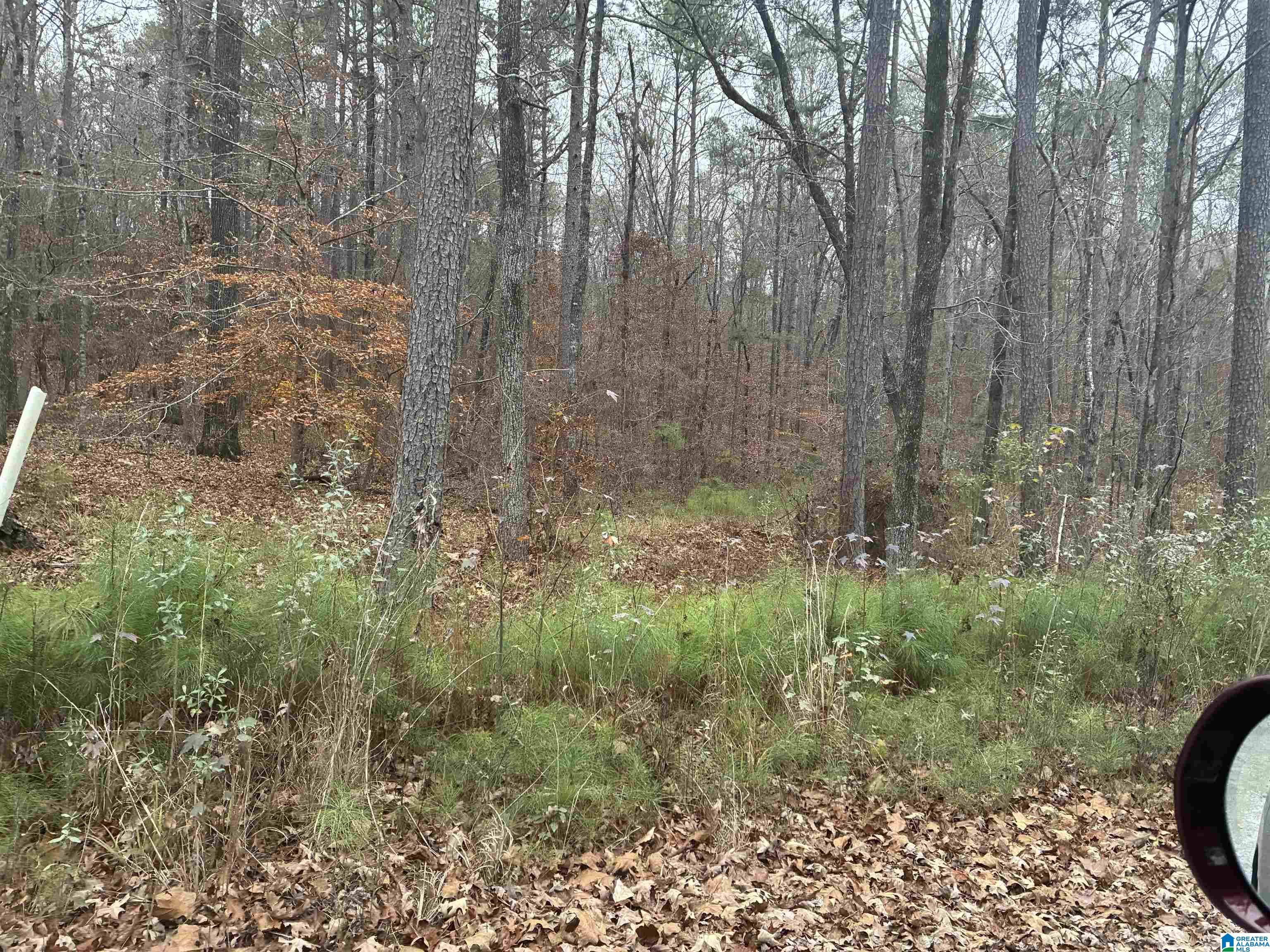 651 PINE MOUNTAIN TRAIL