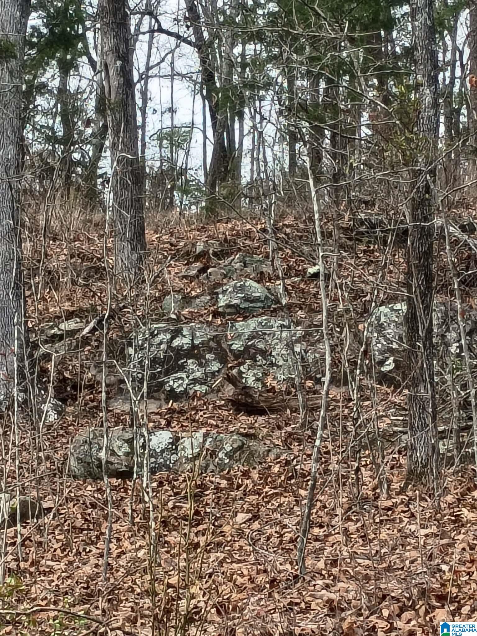 Homes for sale in Blountsville, AL | County Hwy 26, Blountsville, AL 35031 | MLS# 21439055