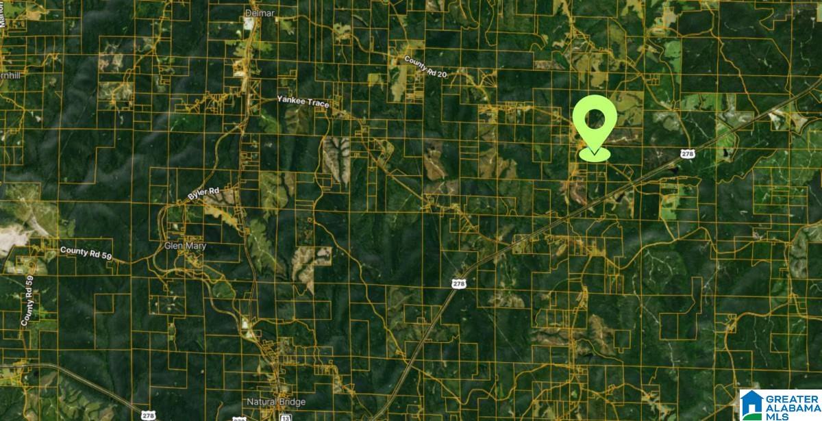 Homes for sale in Haleyville, AL | County Road 20, Haleyville, AL 35565 | MLS# 21439079