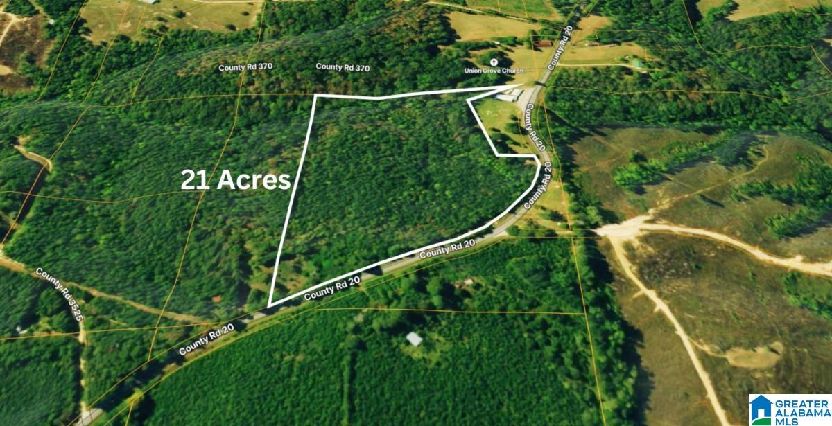 Homes for sale in Haleyville, AL | County Road 20, Haleyville, AL 35565 | MLS# 21439079