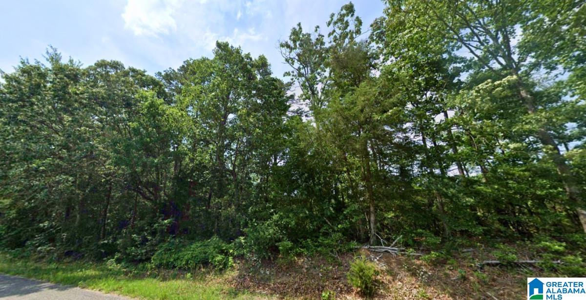 Homes for sale in Haleyville, AL | County Road 20, Haleyville, AL 35565 | MLS# 21439079