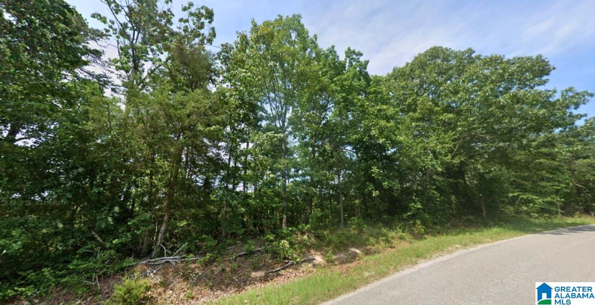 Homes for sale in Haleyville, AL | County Road 20, Haleyville, AL 35565 | MLS# 21439079