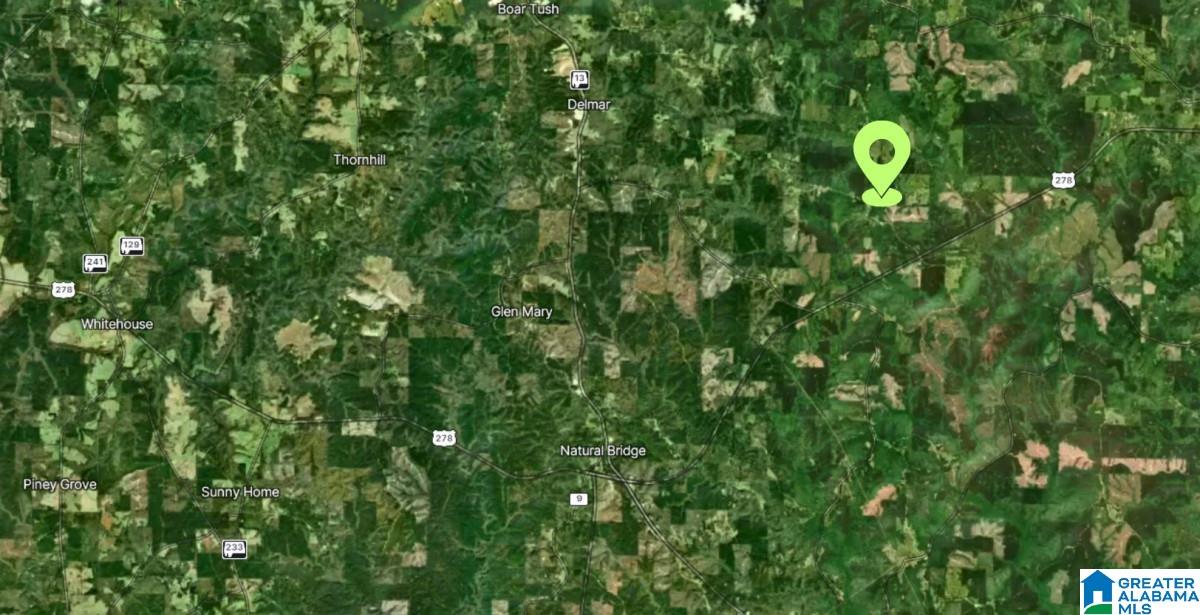 Homes for sale in Haleyville, AL | County Road 20, Haleyville, AL 35565 | MLS# 21439079