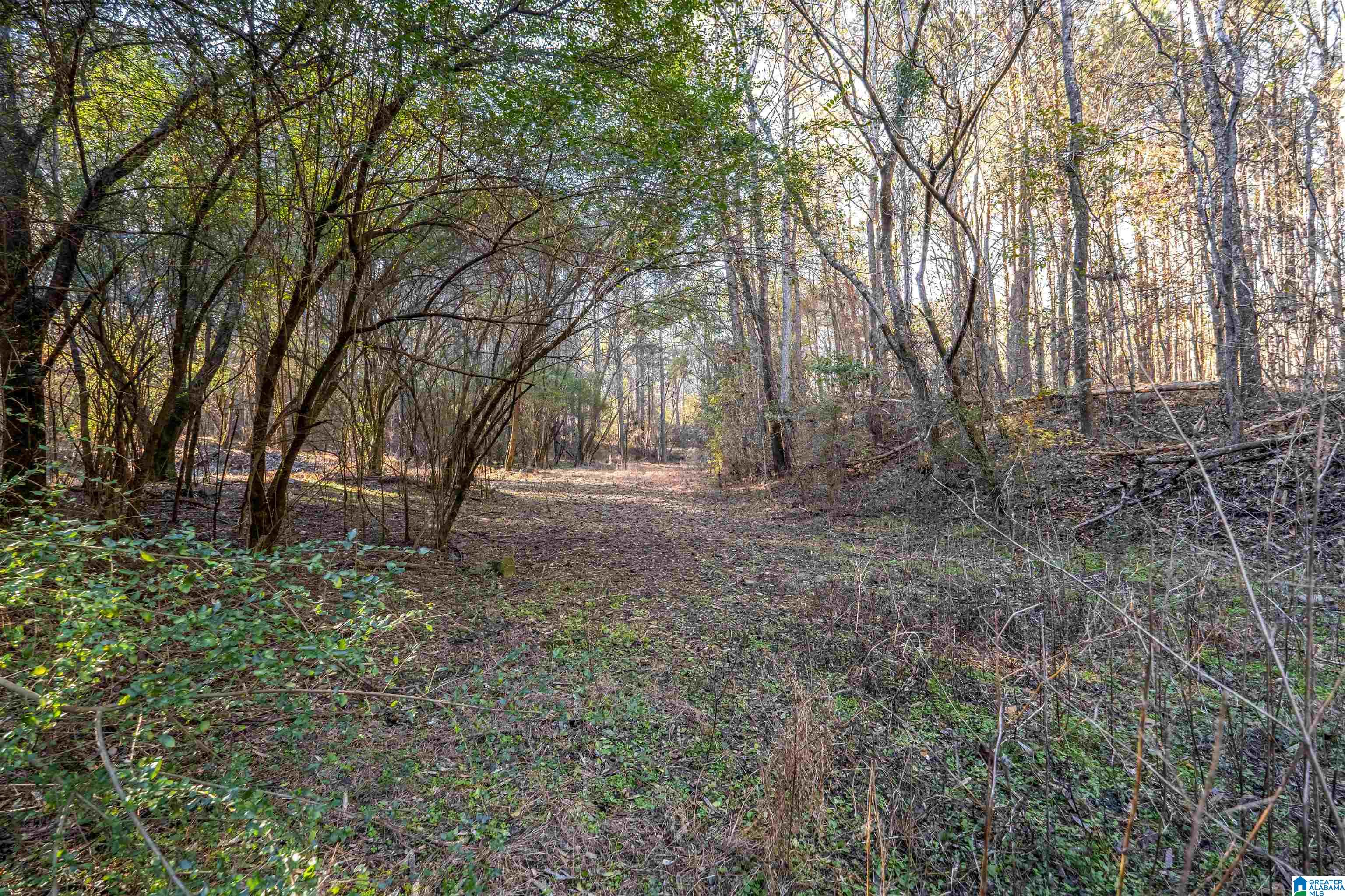 2040 BROOKSIDE ROAD