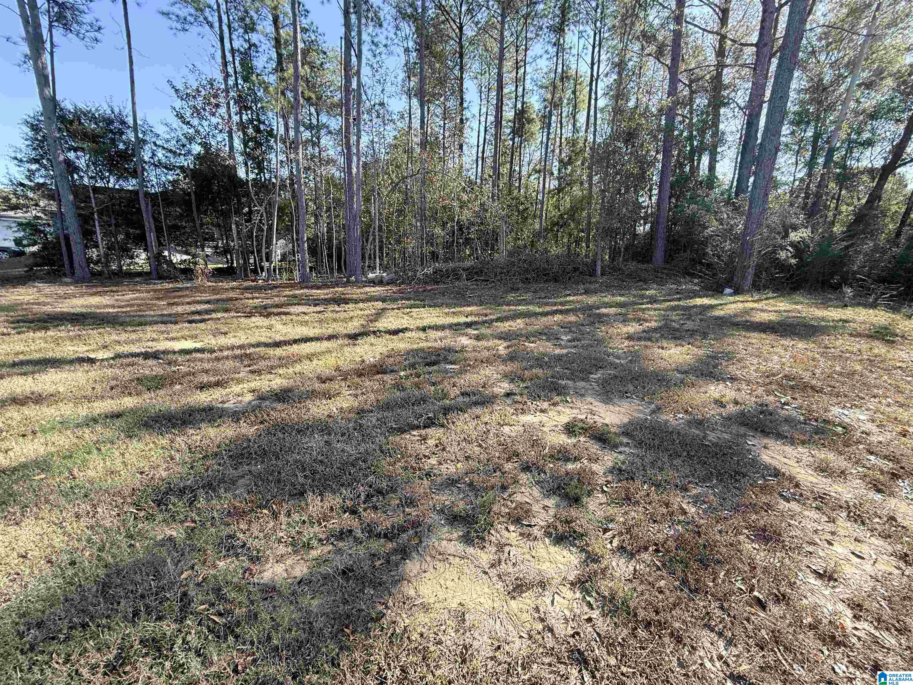 Homes for sale in Fosters, AL | 16432 Ramsey Dr, Fosters, AL 35463 | MLS# 21439436