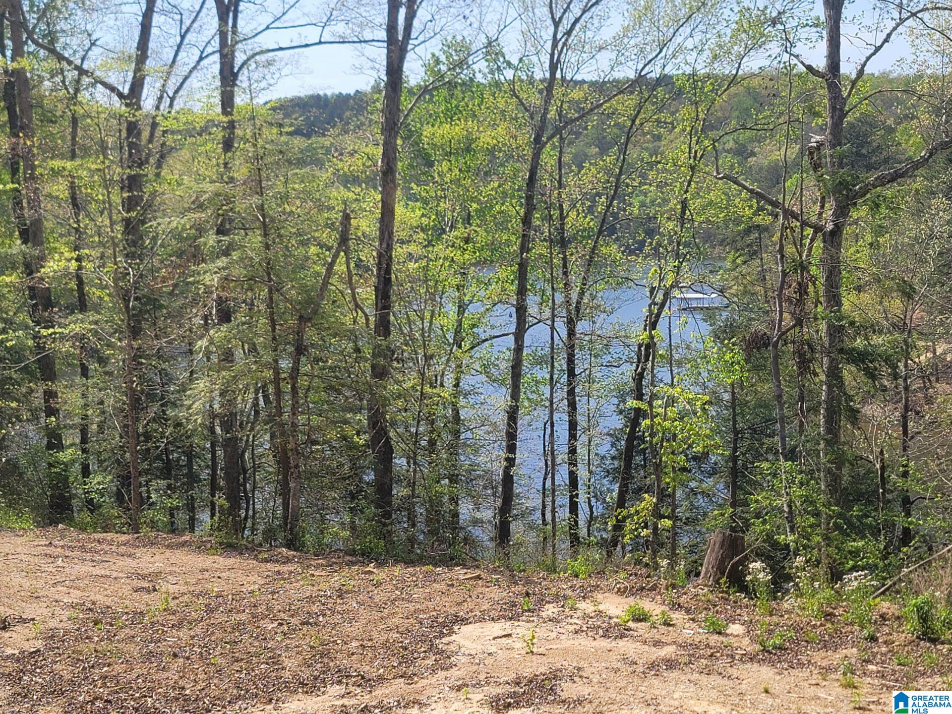 458 COUNTY ROAD 4036
