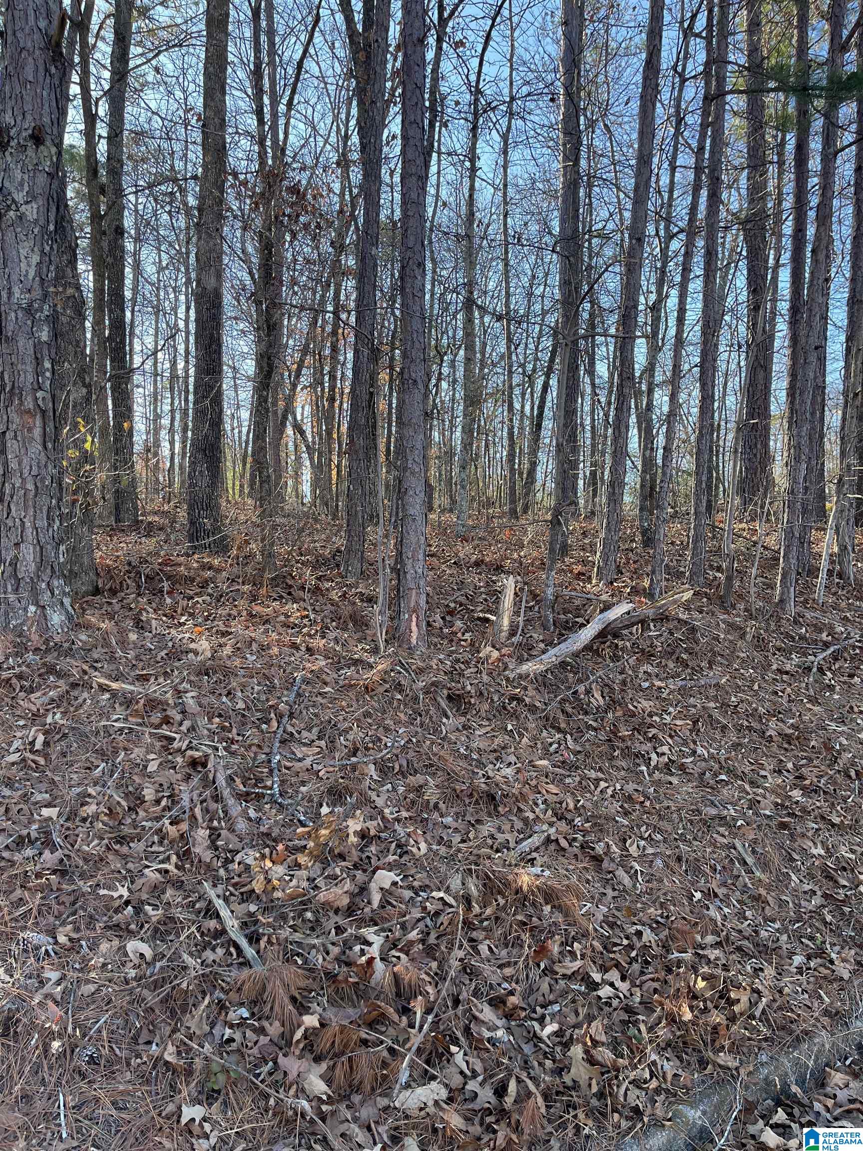 0 COMANCHE TRAIL