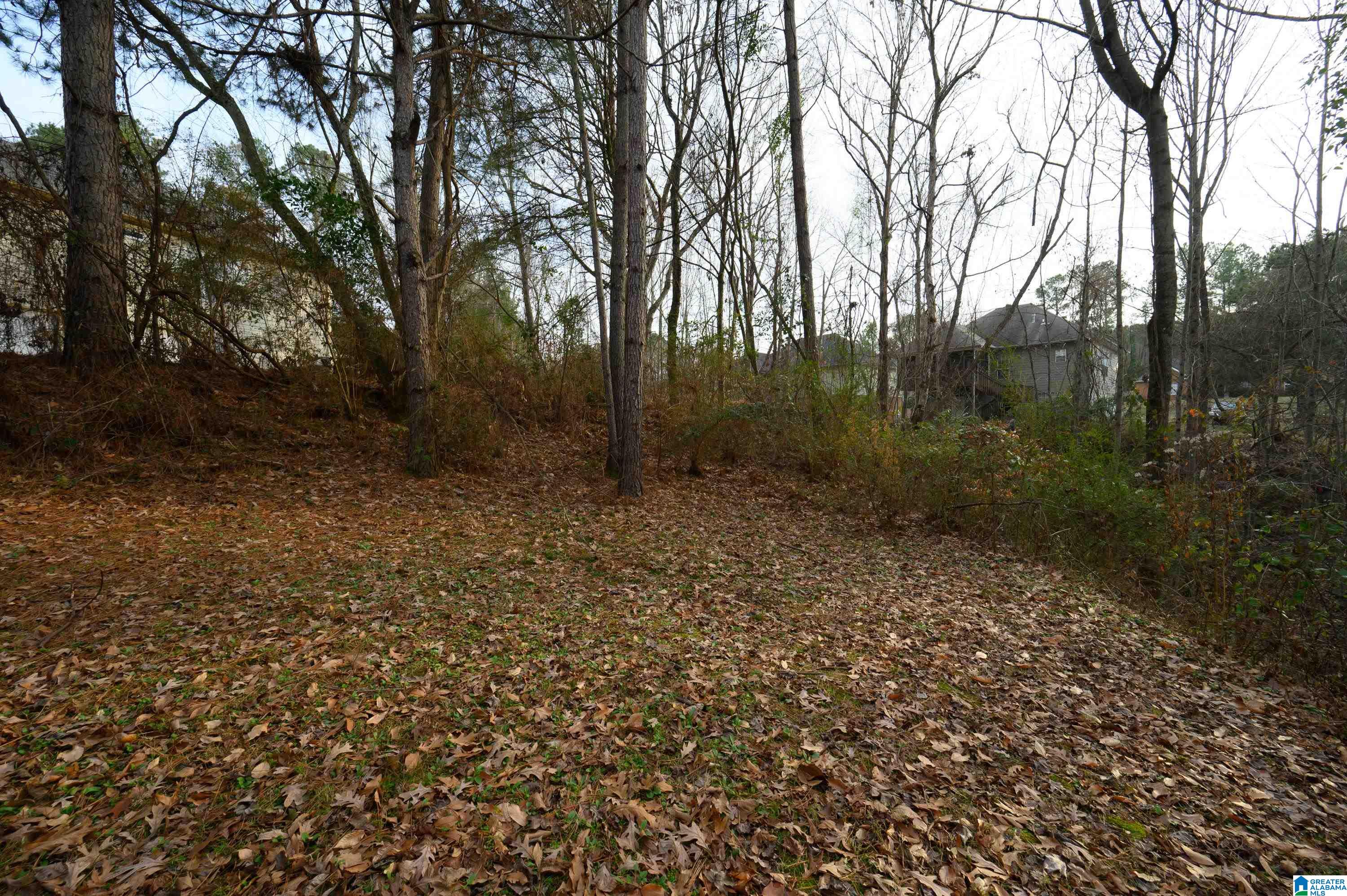 Homes for sale in Helena, AL | 324 Falliston Court, Helena, AL 35080 | MLS# 21439891