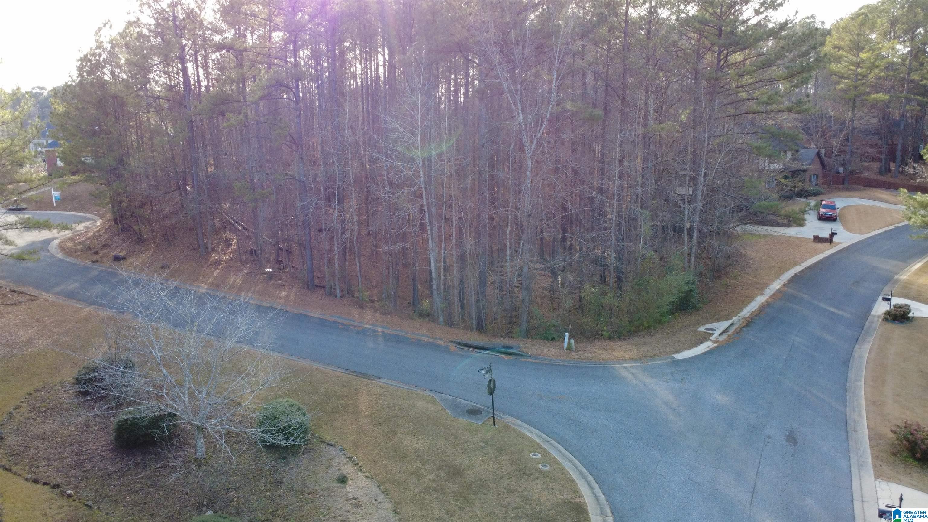 Homes for sale in Chelsea, AL | 200 Cameron Circle, Chelsea, AL 35043 | MLS# 21439921