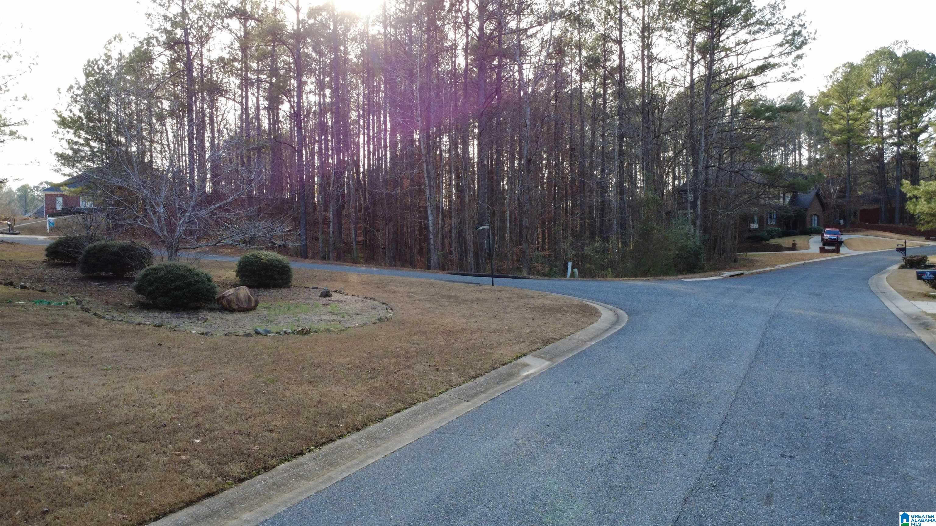 Homes for sale in Chelsea, AL | 200 Cameron Circle, Chelsea, AL 35043 | MLS# 21439921