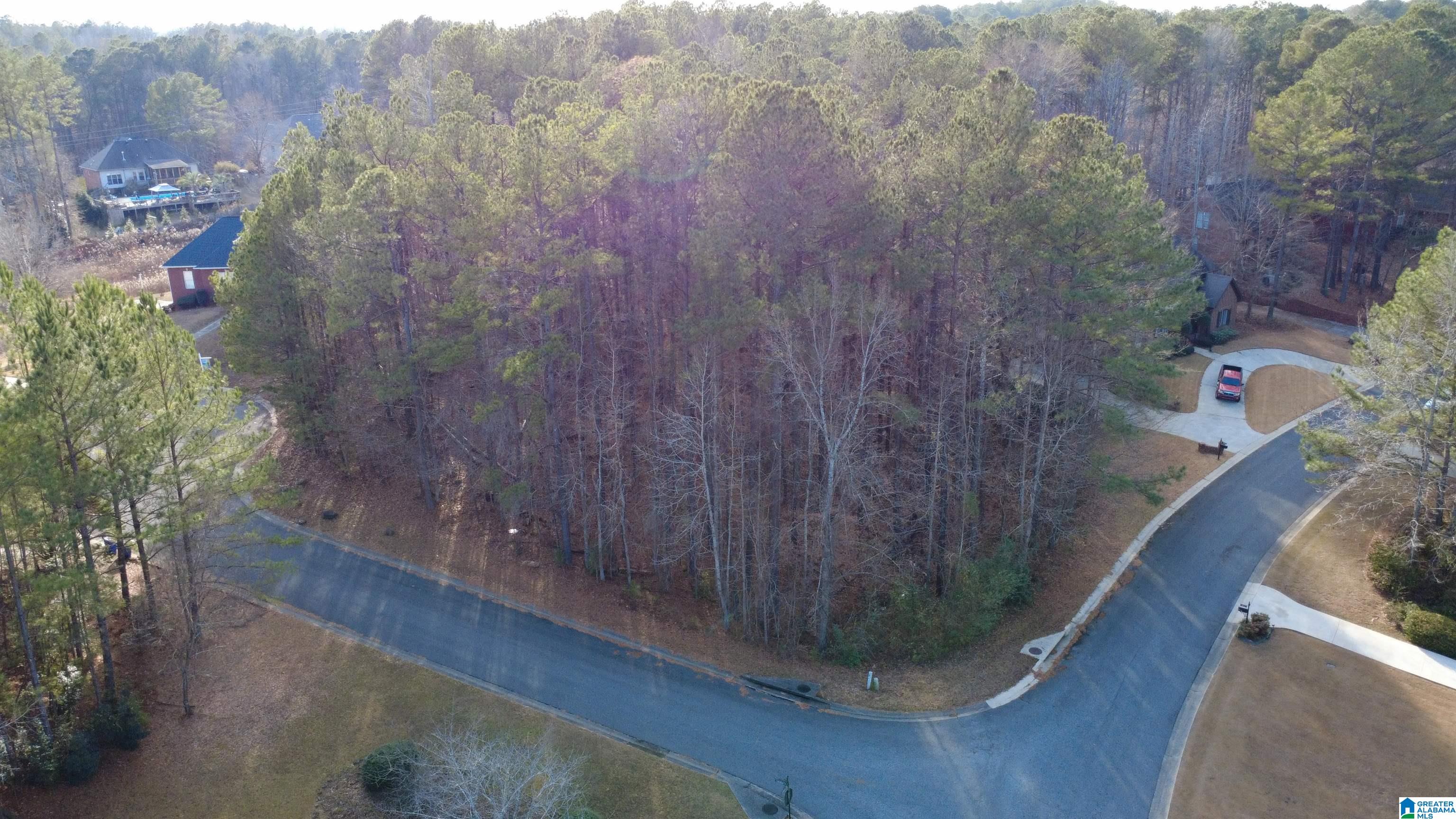 Homes for sale in Chelsea, AL | 200 Cameron Circle, Chelsea, AL 35043 | MLS# 21439921