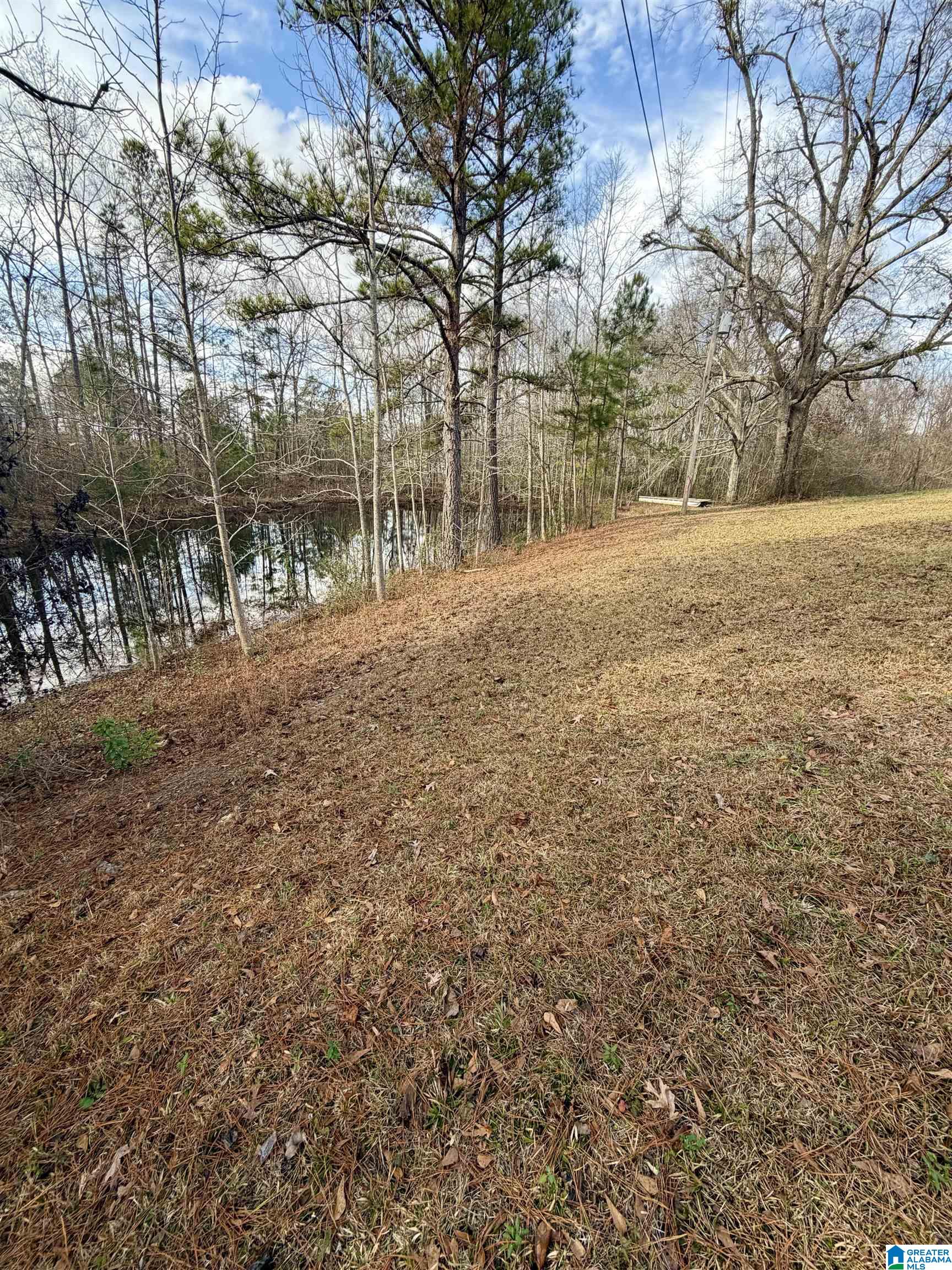 Homes for sale in Clanton, AL | 3719 County Road 32, Clanton, AL 35046 | MLS# 21440114