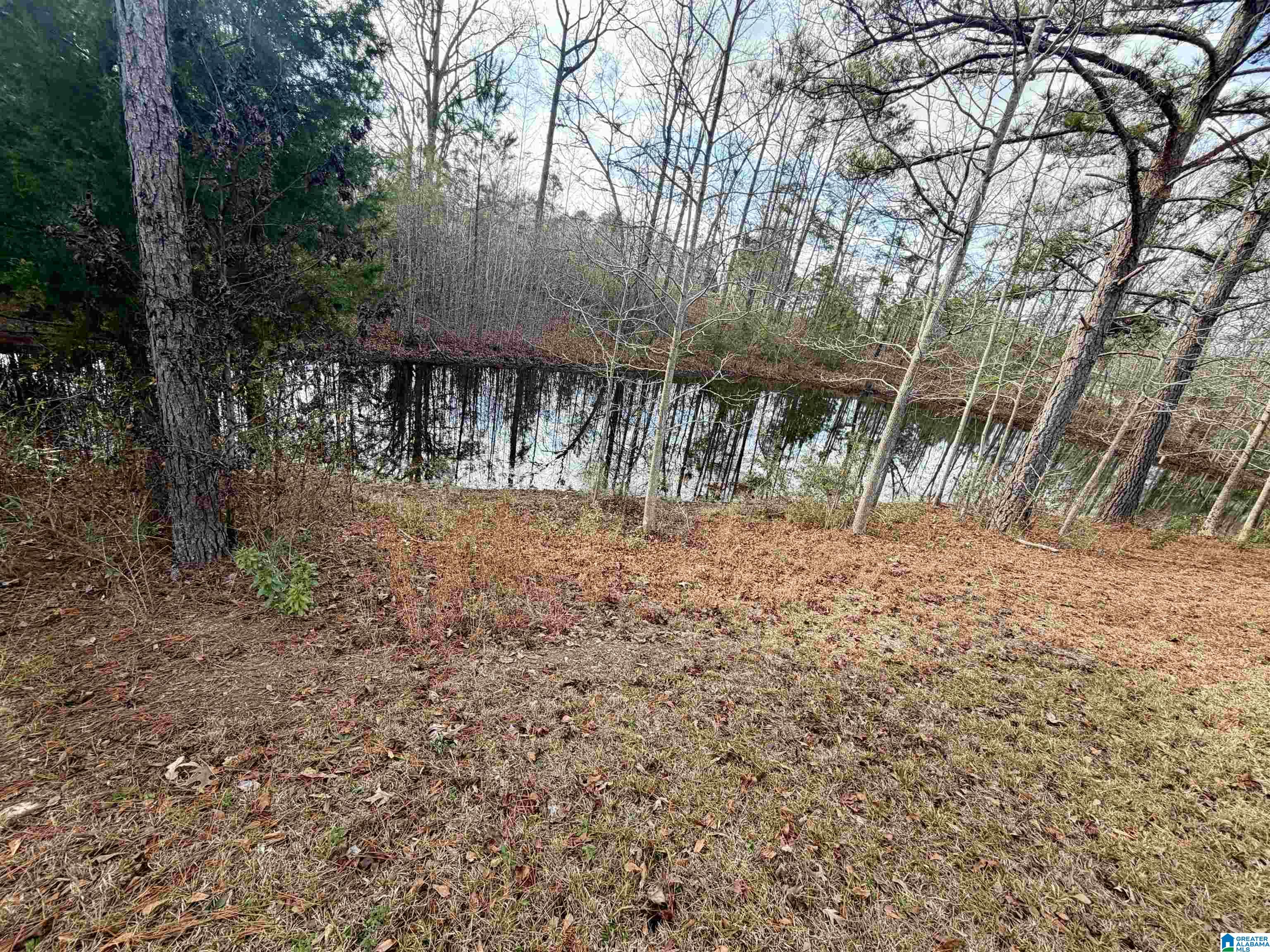 Homes for sale in Clanton, AL | 3719 County Road 32, Clanton, AL 35046 | MLS# 21440114