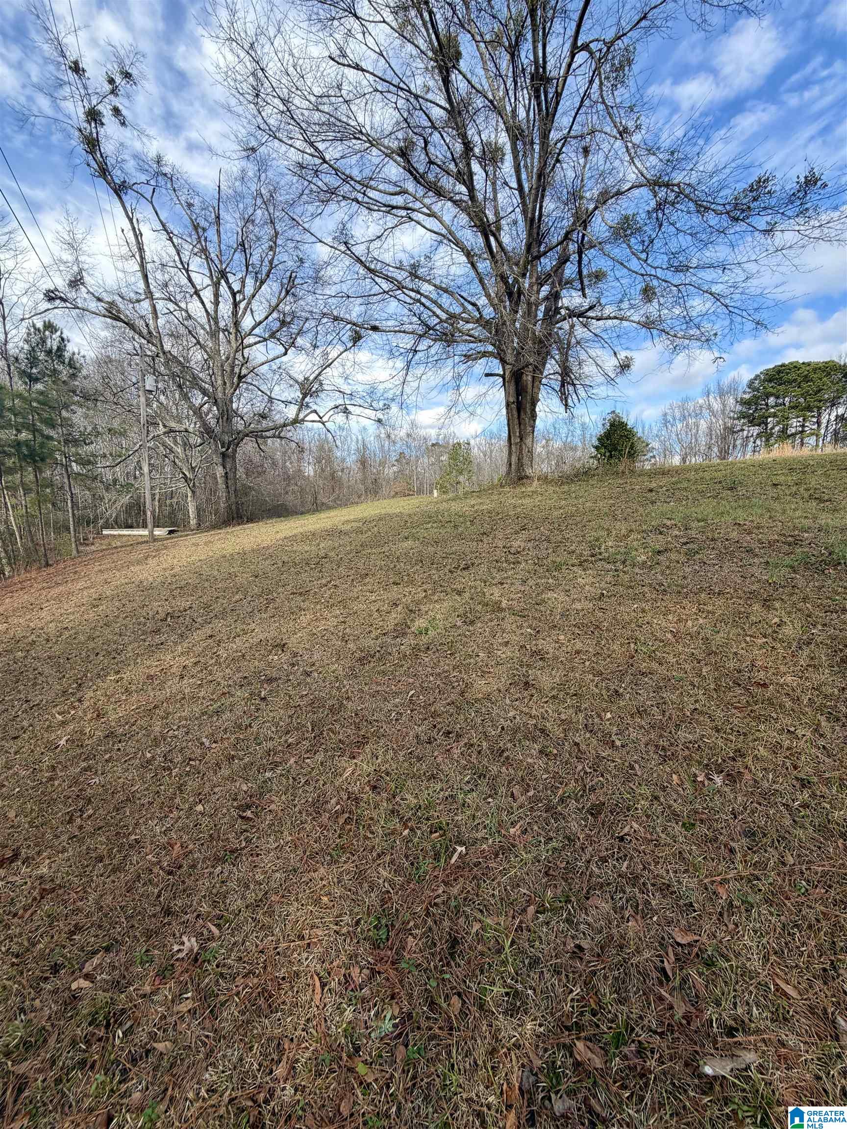 Homes for sale in Clanton, AL | 3719 County Road 32, Clanton, AL 35046 | MLS# 21440114