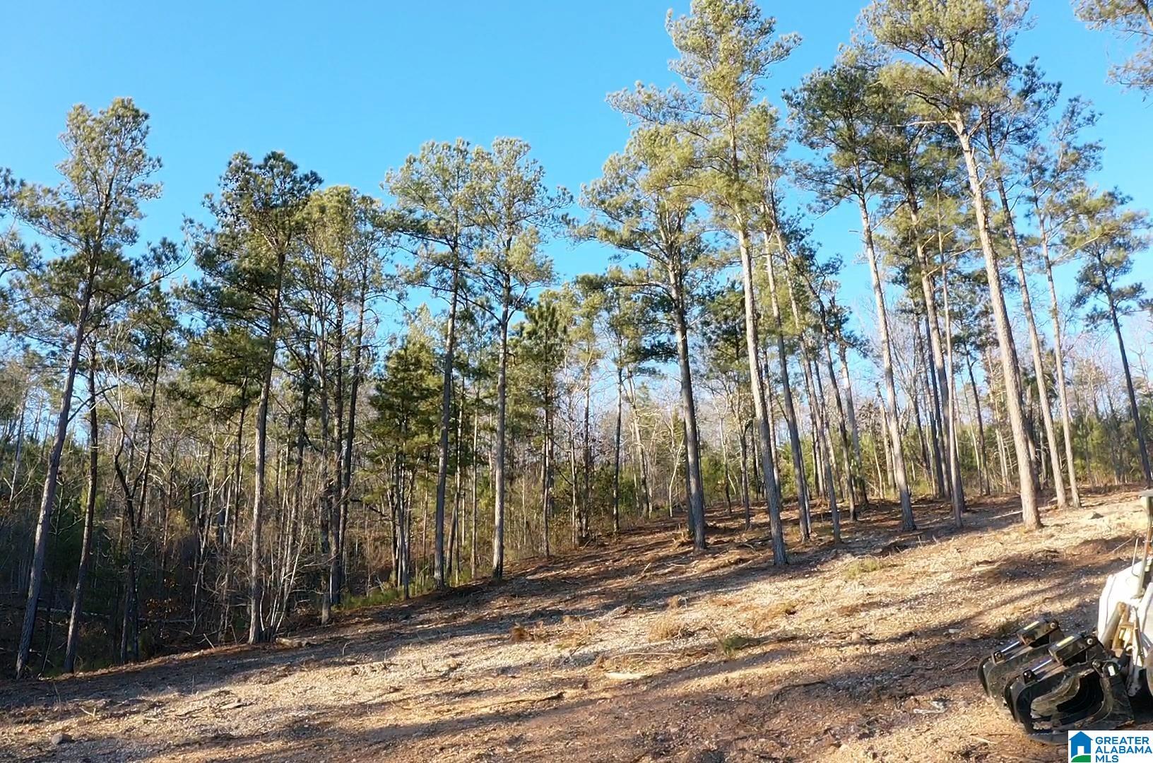 Homes for sale in Oxford, AL | 0 Monta Vista Road, Oxford, AL 36203 | MLS# 21440176