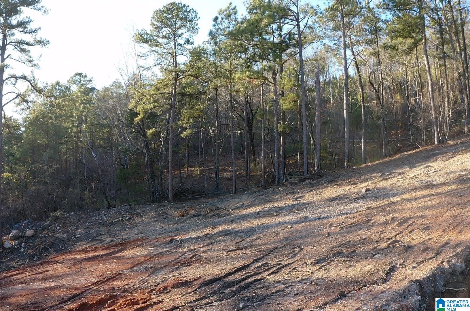 Homes for sale in Oxford, AL | 0 Monta Vista Road, Oxford, AL 36203 | MLS# 21440176