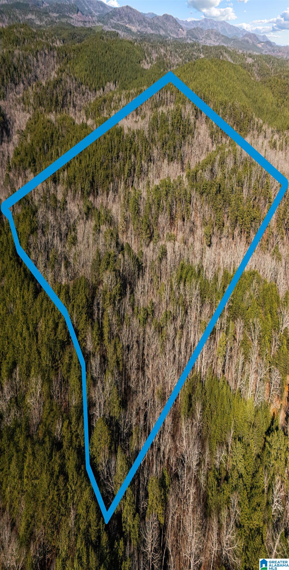 Homes for sale in Piedmont, AL | 56 Acres County Road 202, Piedmont, AL 36272 | MLS# 21440404