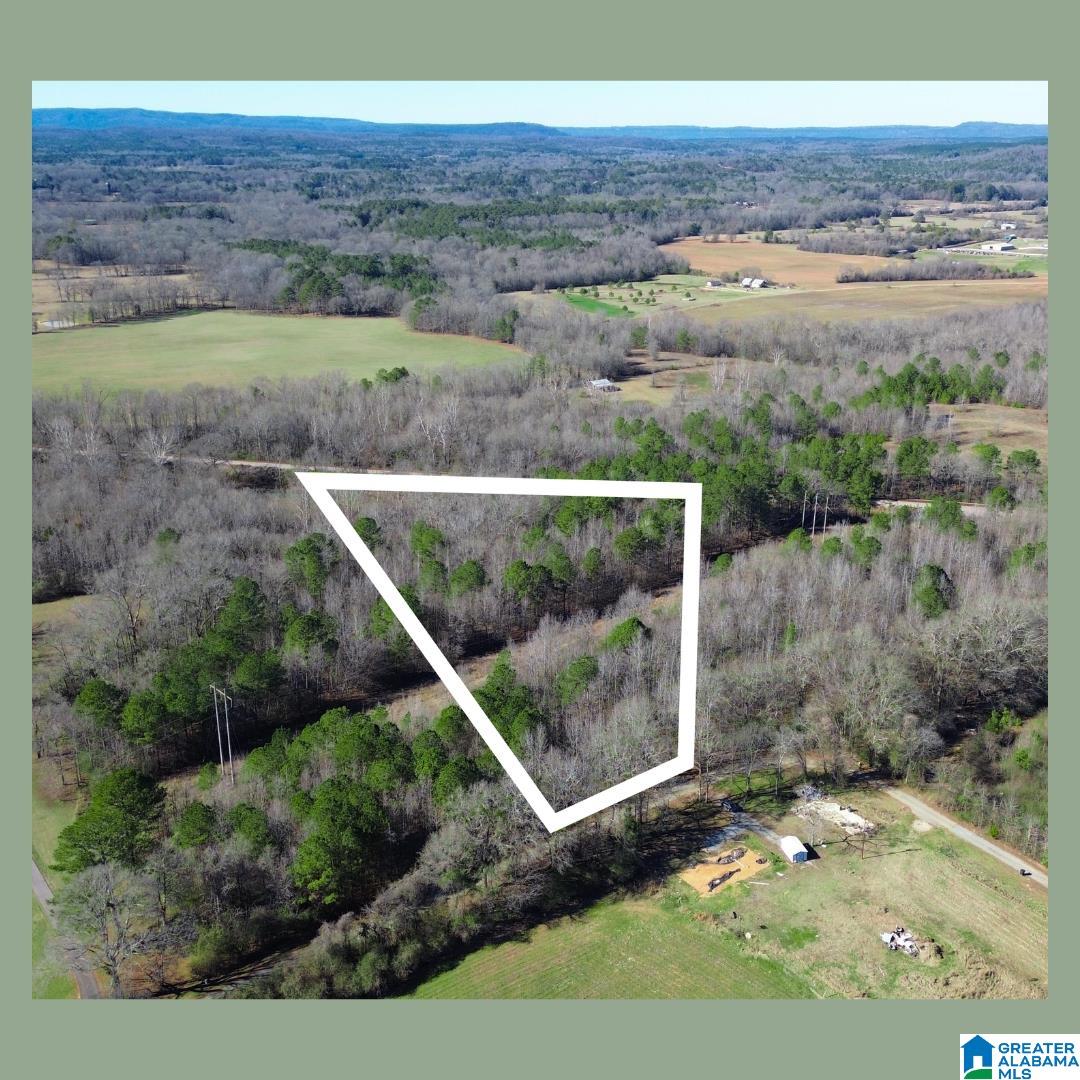 Homes for sale in Vincent, AL | 0 Bates Road, Vincent, AL 35178 | MLS# 21440459