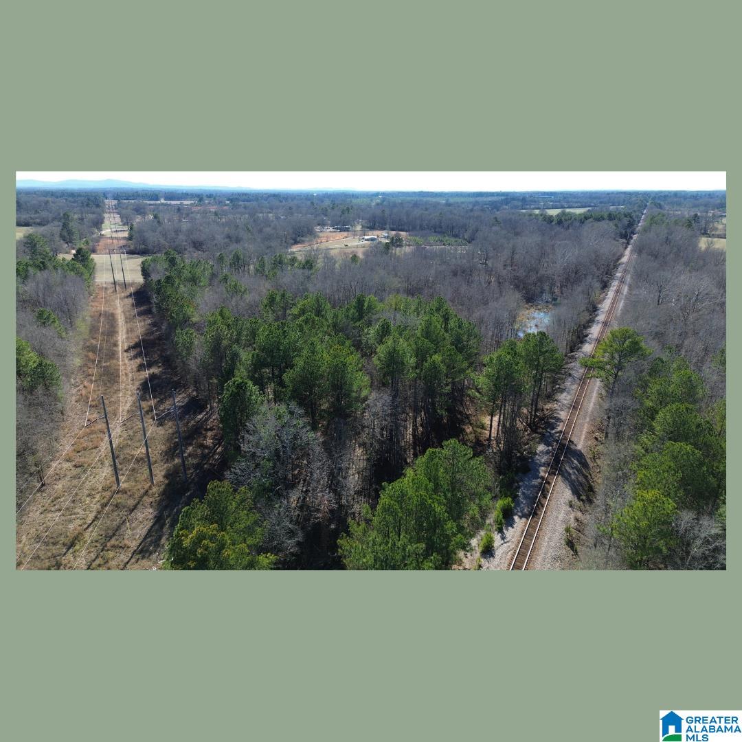 Homes for sale in Vincent, AL | 0 Bates Road, Vincent, AL 35178 | MLS# 21440459