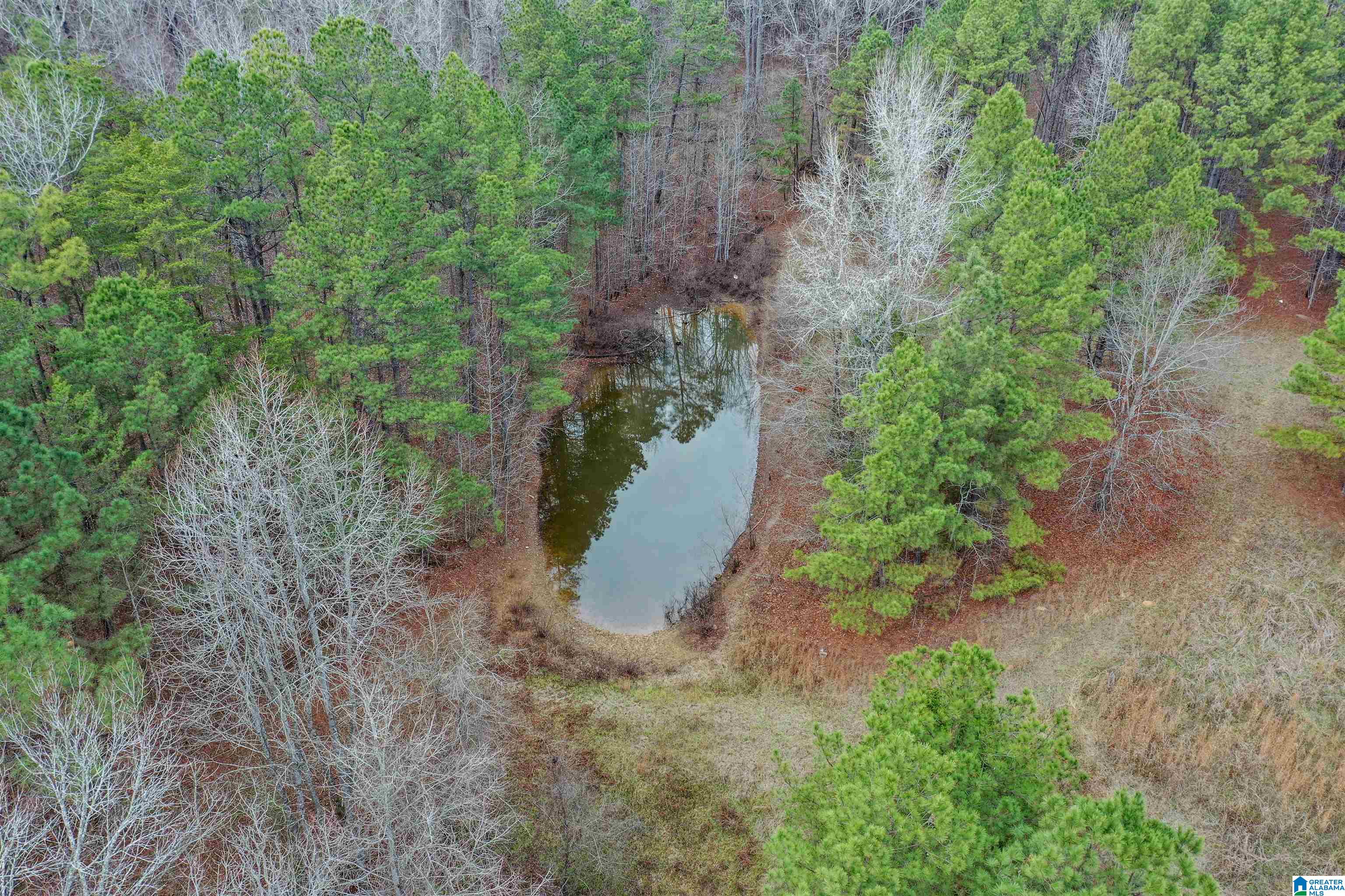 Homes for sale in Calera, AL | 345 Brown Road, Calera, AL 35040 | MLS# 21440546