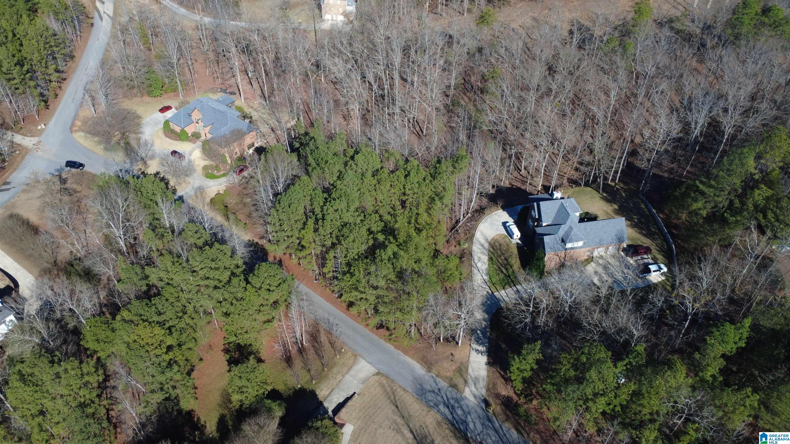 Homes for sale in Pelham, AL | 105 Hampton Lane, Pelham, AL 35124 | MLS# 21440582