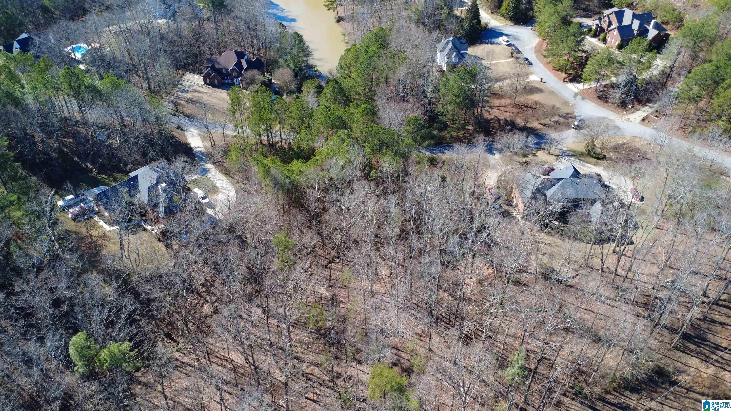 Homes for sale in Pelham, AL | 105 Hampton Lane, Pelham, AL 35124 | MLS# 21440582