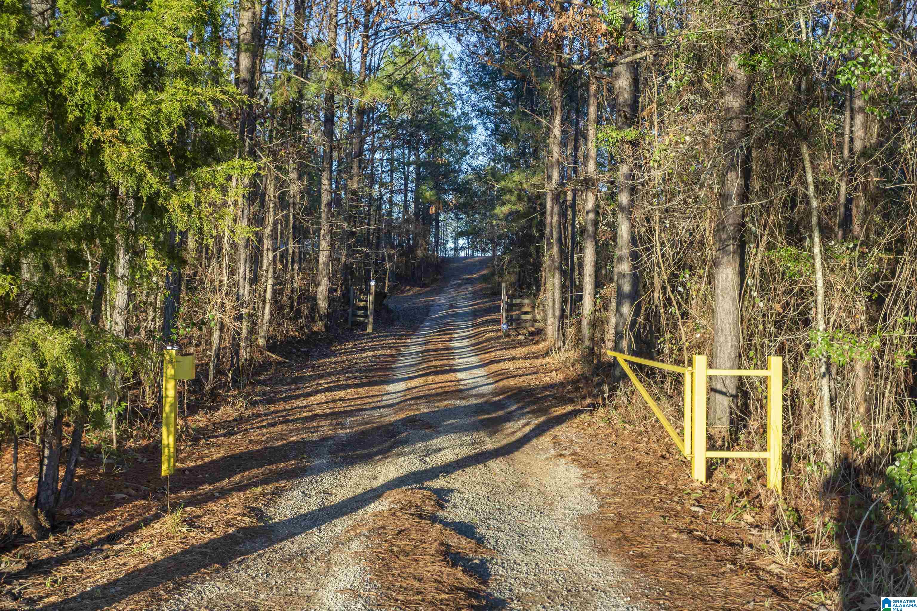 Homes for sale in Centreville, AL | 2711 Montgomery Hwy, Centreville, AL 35042 | MLS# 21440599