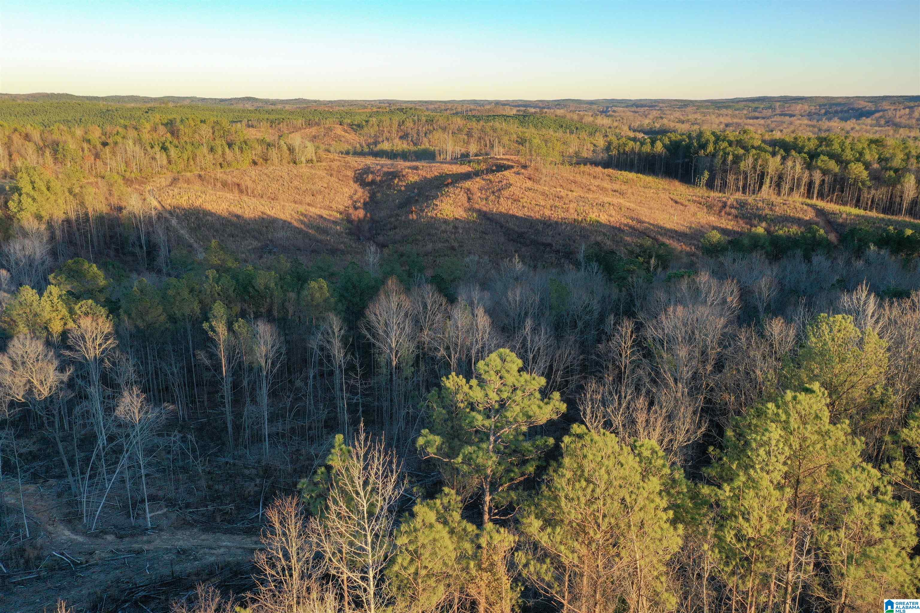 Homes for sale in Centreville, AL | 2711 Montgomery Hwy, Centreville, AL 35042 | MLS# 21440599