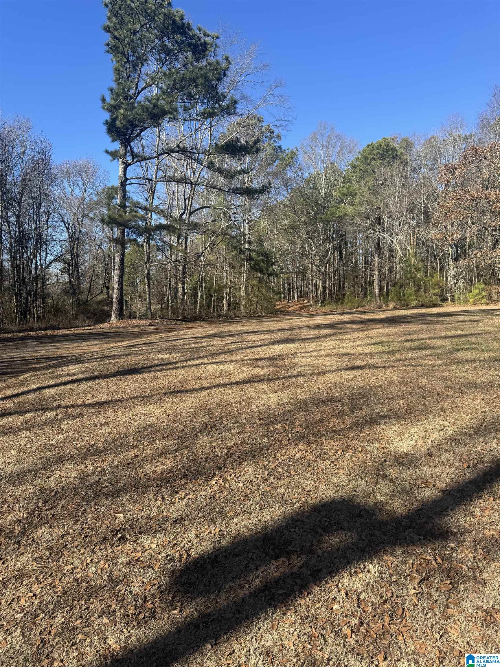 Homes for sale in Woodland, AL | 1508 County Road 71, Woodland, AL 36280 | MLS# 21440602