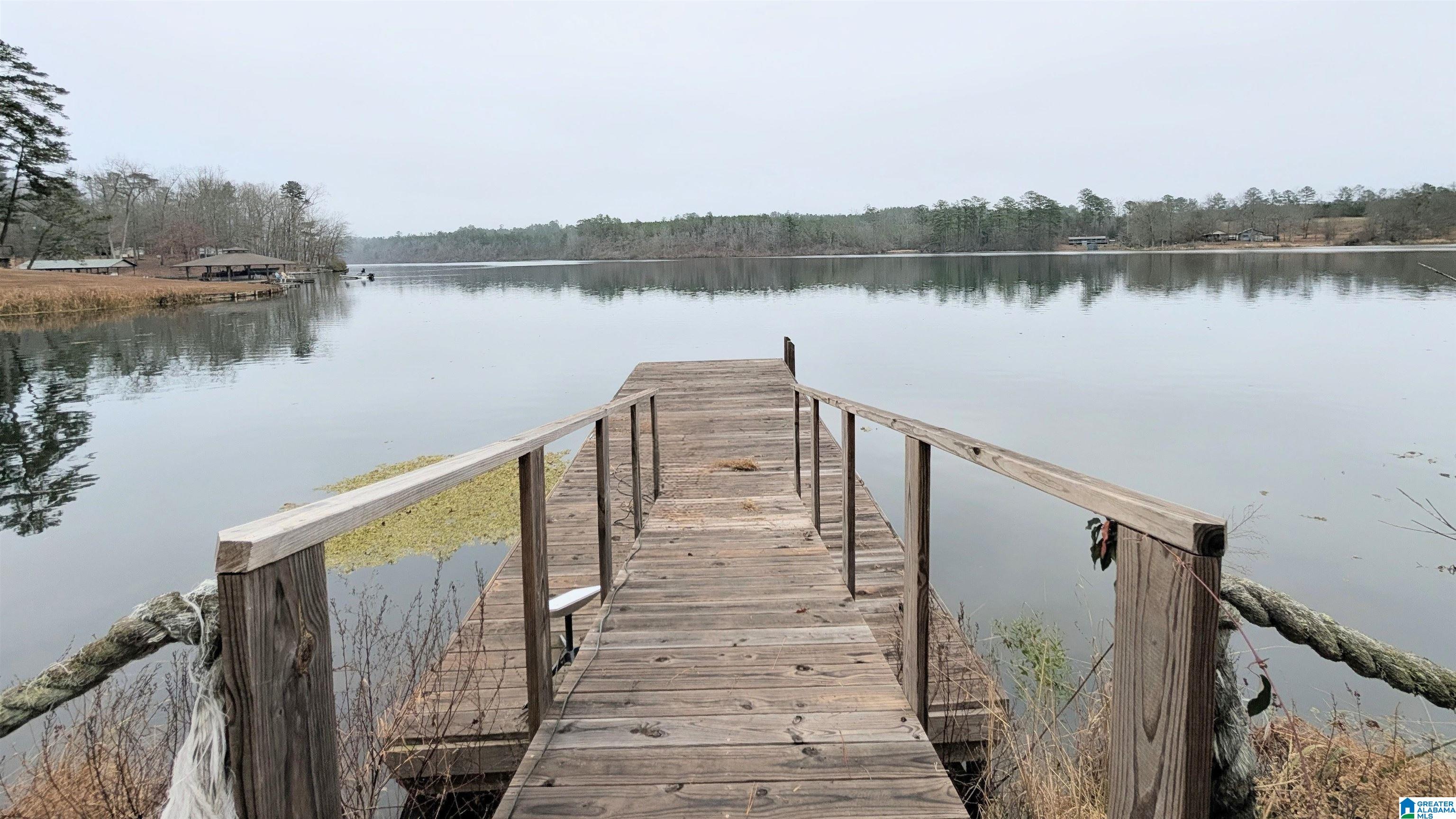 Homes for sale in Good Springs, AL | 2573 Hiram Lane, Good Springs, AL 35560 | MLS# 21440604