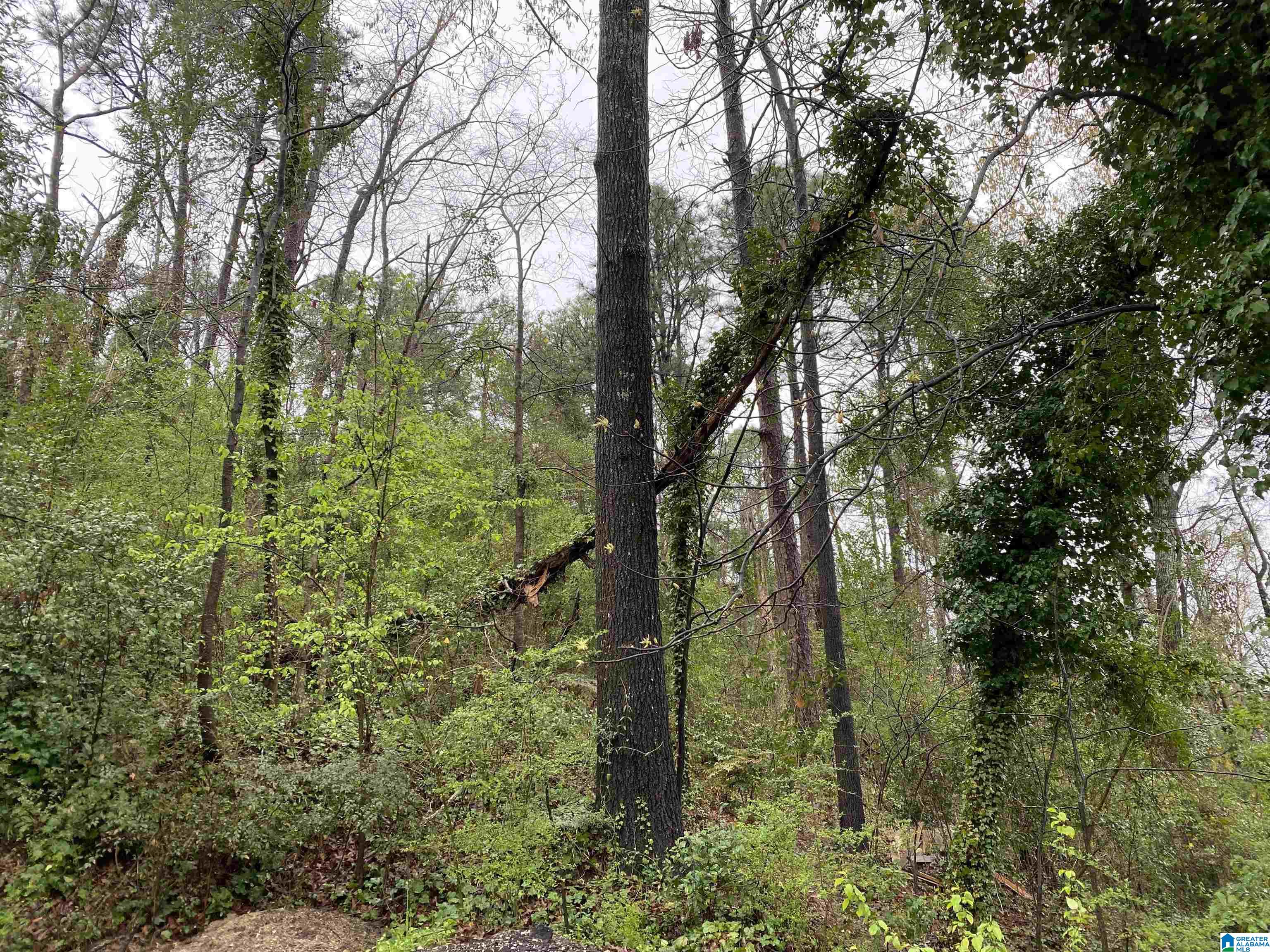 Homes for sale in Homewood, AL | 217 Edgeview Avenue, Homewood, AL 35209 | MLS# 21440606