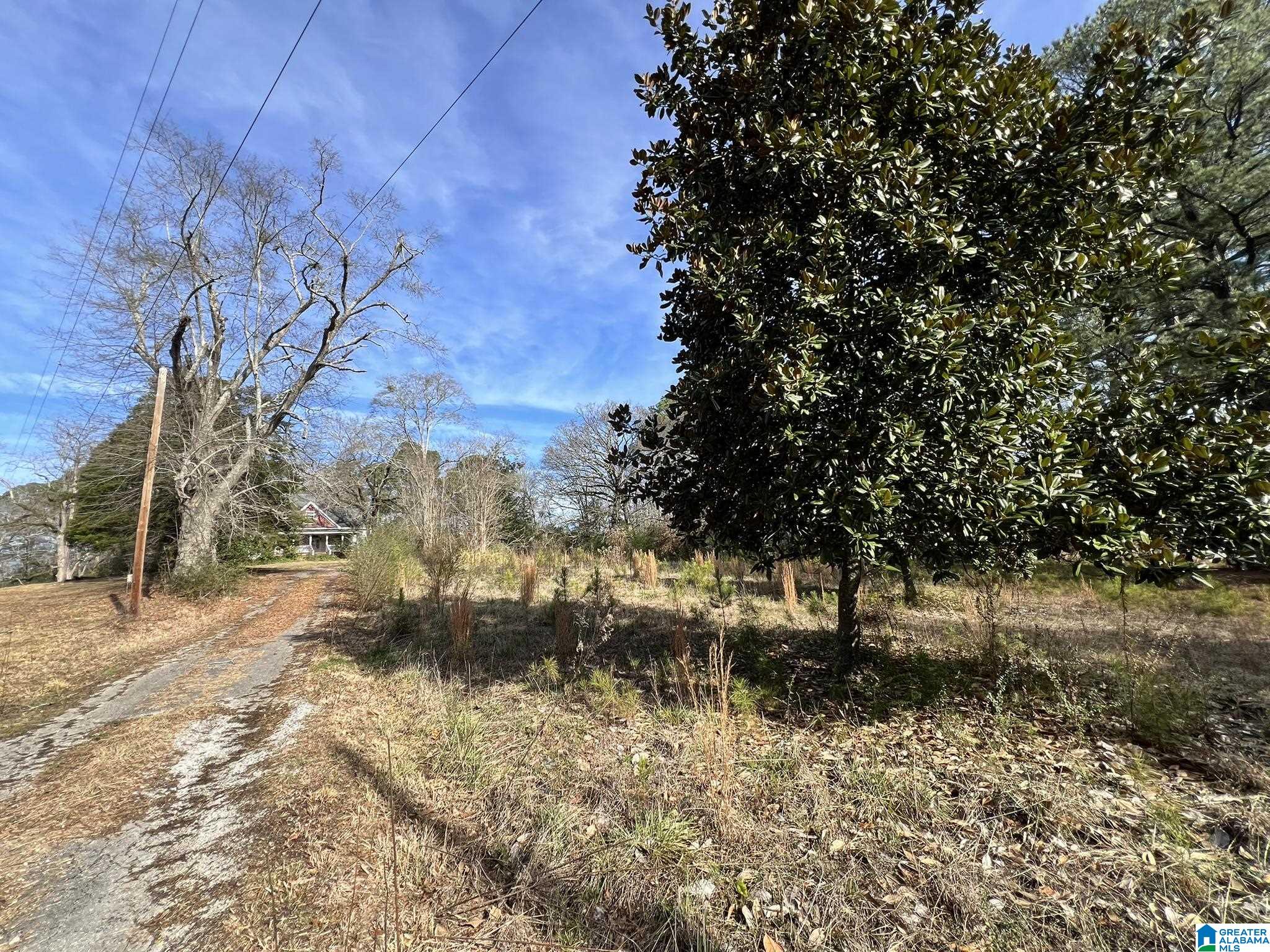 Homes for sale in Columbiana, AL | 104 Old Hwy 25 E, Columbiana, AL 35051 | MLS# 21440624