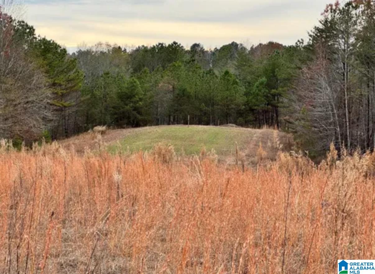 4th image of 268 Ponderosa Road, Jasper, AL 35503 | MLS# 21440665