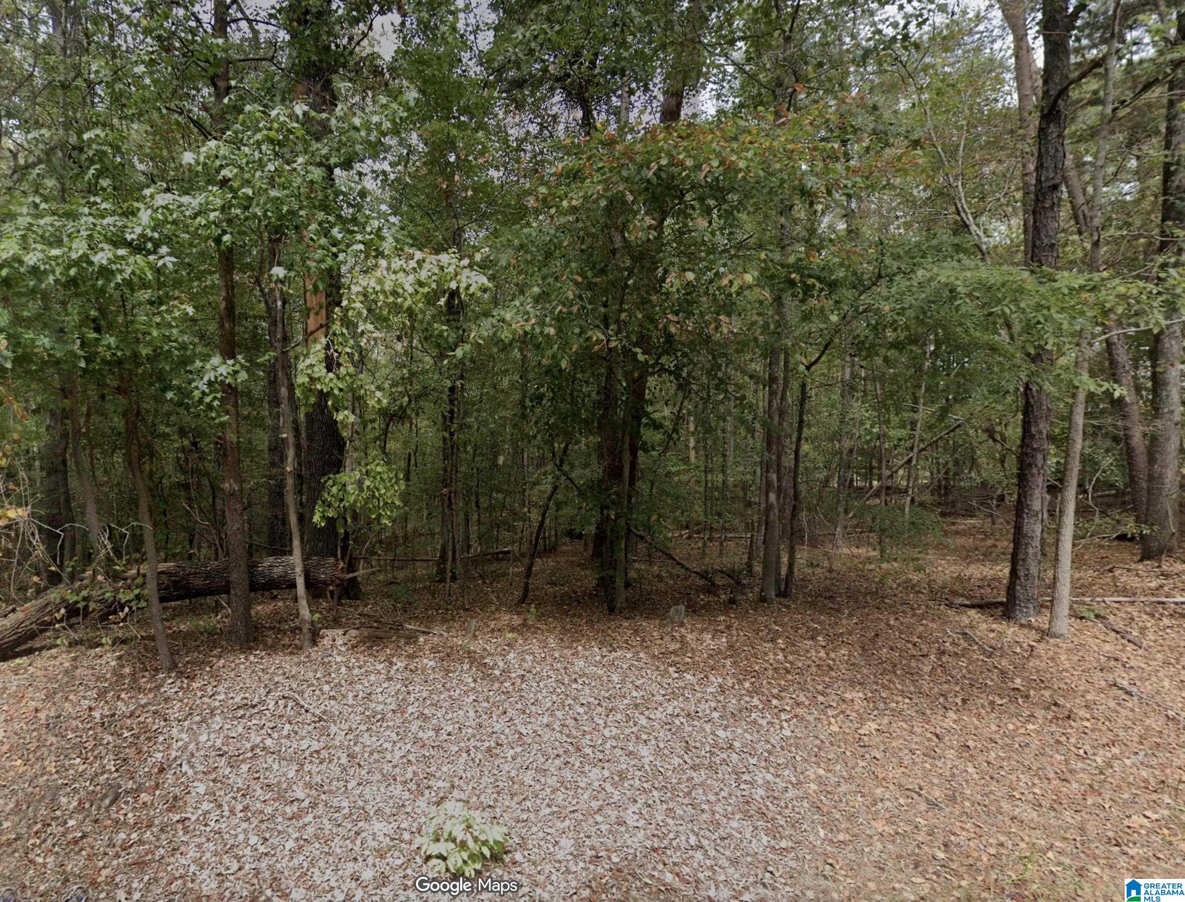 Homes for sale in Adger, AL | 15001 Lock 17 Road, Adger, AL 35006 | MLS# 21440685