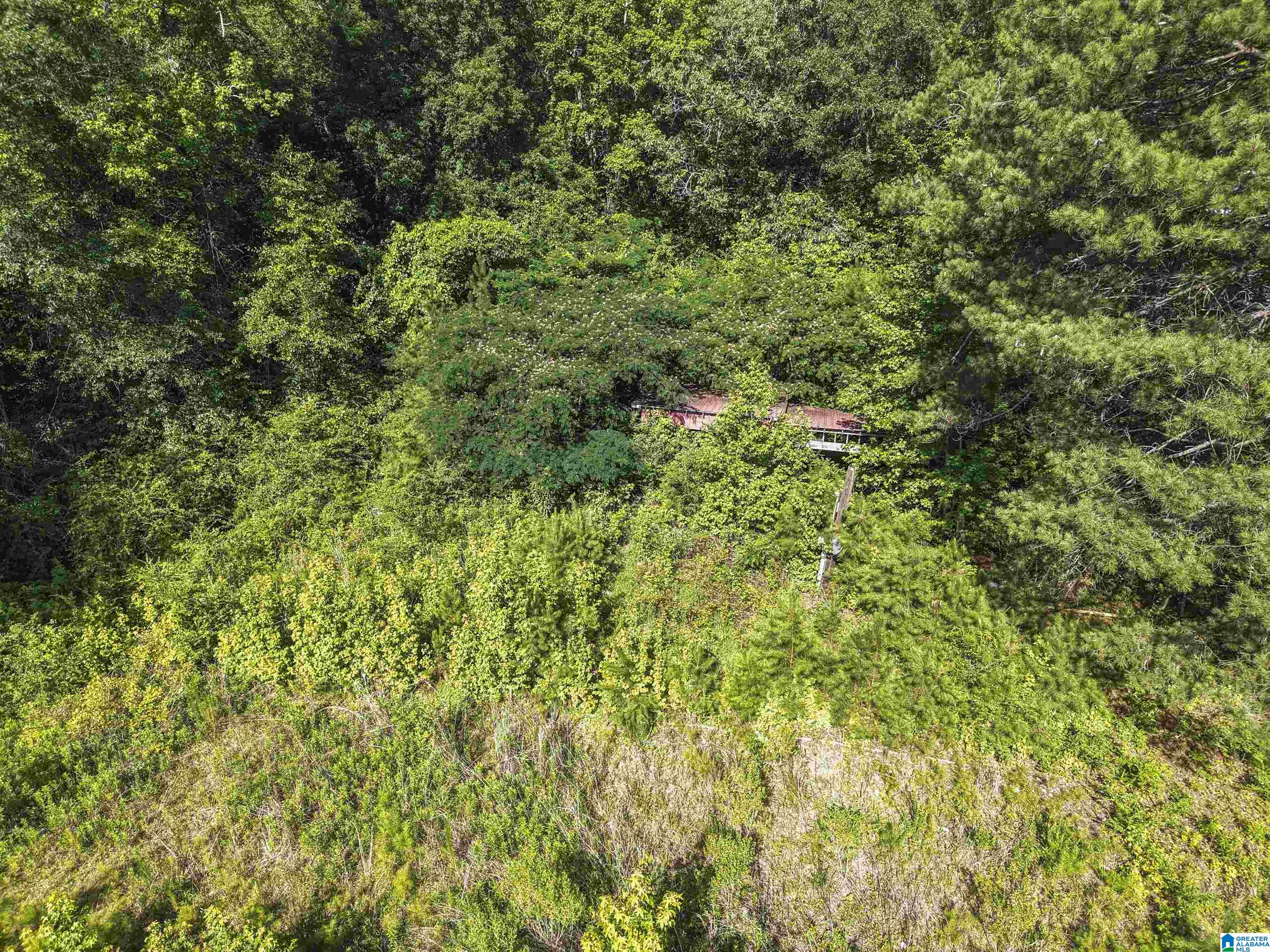 Homes for sale in Sterrett, AL | 87 Bryan Road, Sterrett, AL 35147 | MLS# 21440688