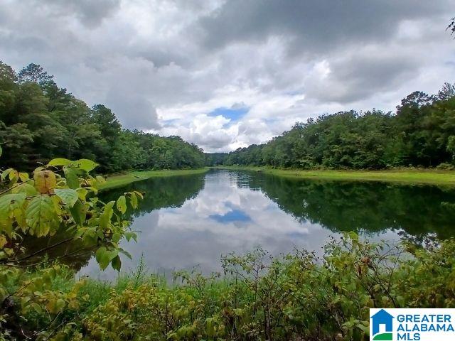 Homes for sale in Alpine, AL | 105 Point Aquarius, Alpine, AL 35014 | MLS# 21440722