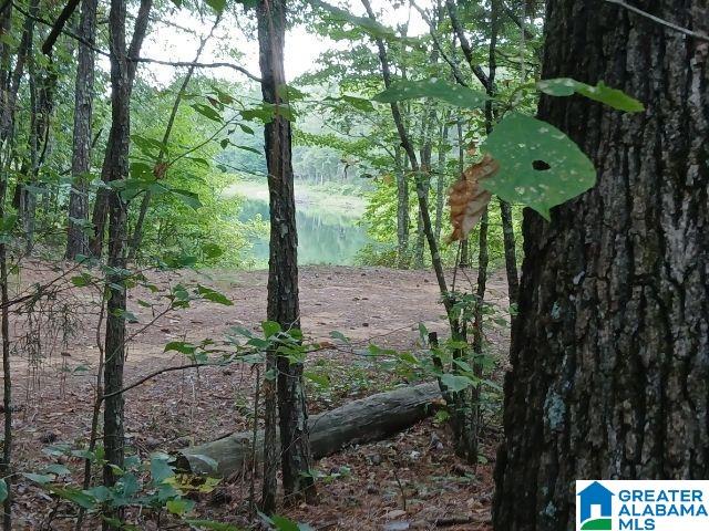 Homes for sale in Alpine, AL | 105 Point Aquarius, Alpine, AL 35014 | MLS# 21440722