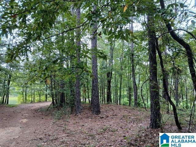 Homes for sale in Alpine, AL | 105 Point Aquarius, Alpine, AL 35014 | MLS# 21440722