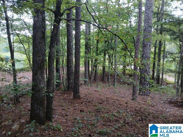 Homes for sale in Alpine, AL | 105 Point Aquarius, Alpine, AL 35014 | MLS# 21440722