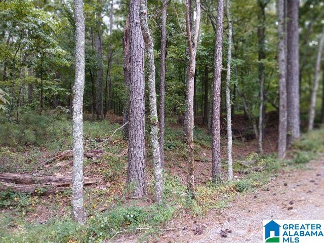 Homes for sale in Alpine, AL | 105 Point Aquarius, Alpine, AL 35014 | MLS# 21440722