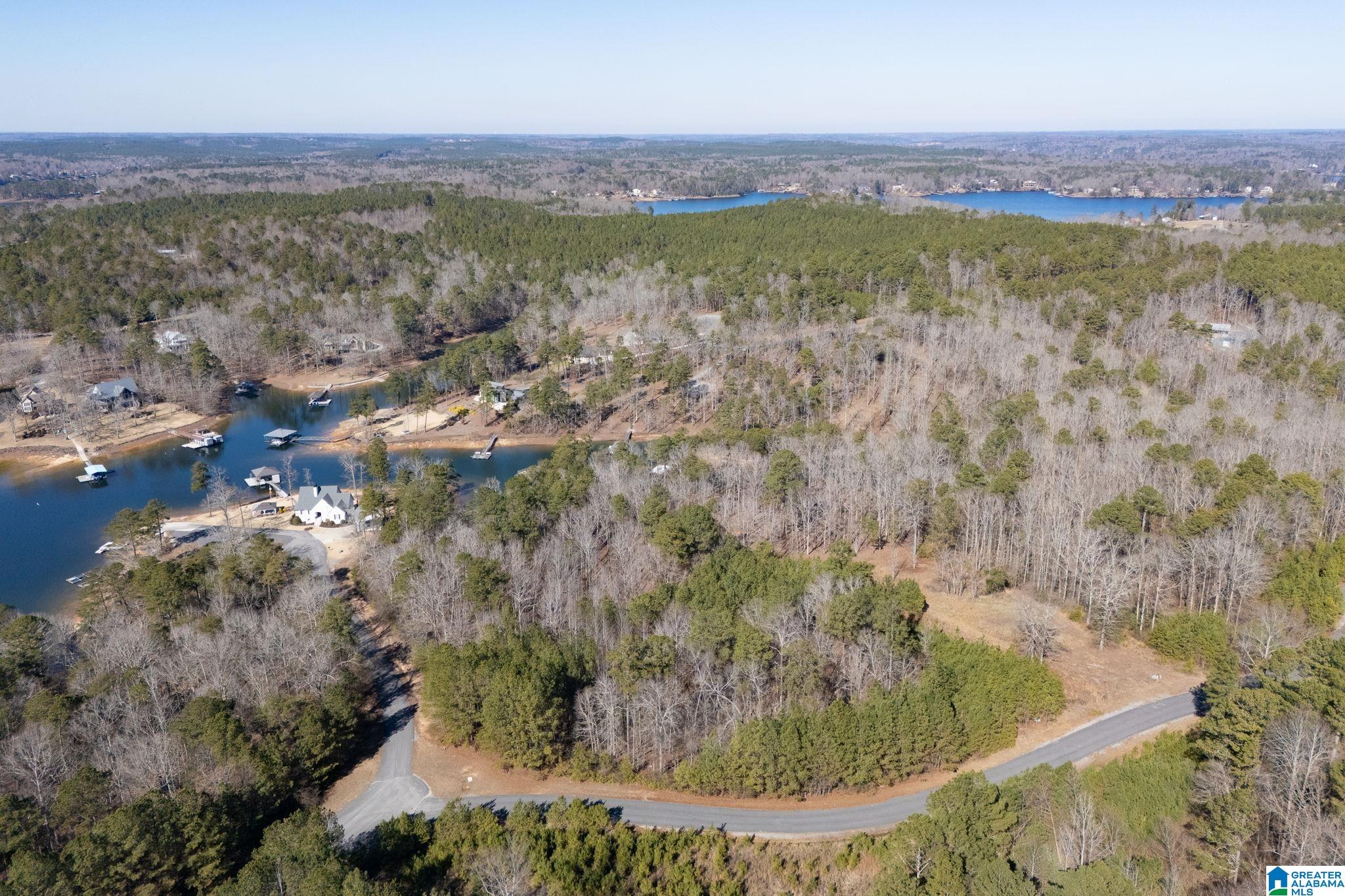 Homes for sale in Crane Hill, AL | 0 W County Road 182 W, Crane Hill, AL 35053 | MLS# 21440761