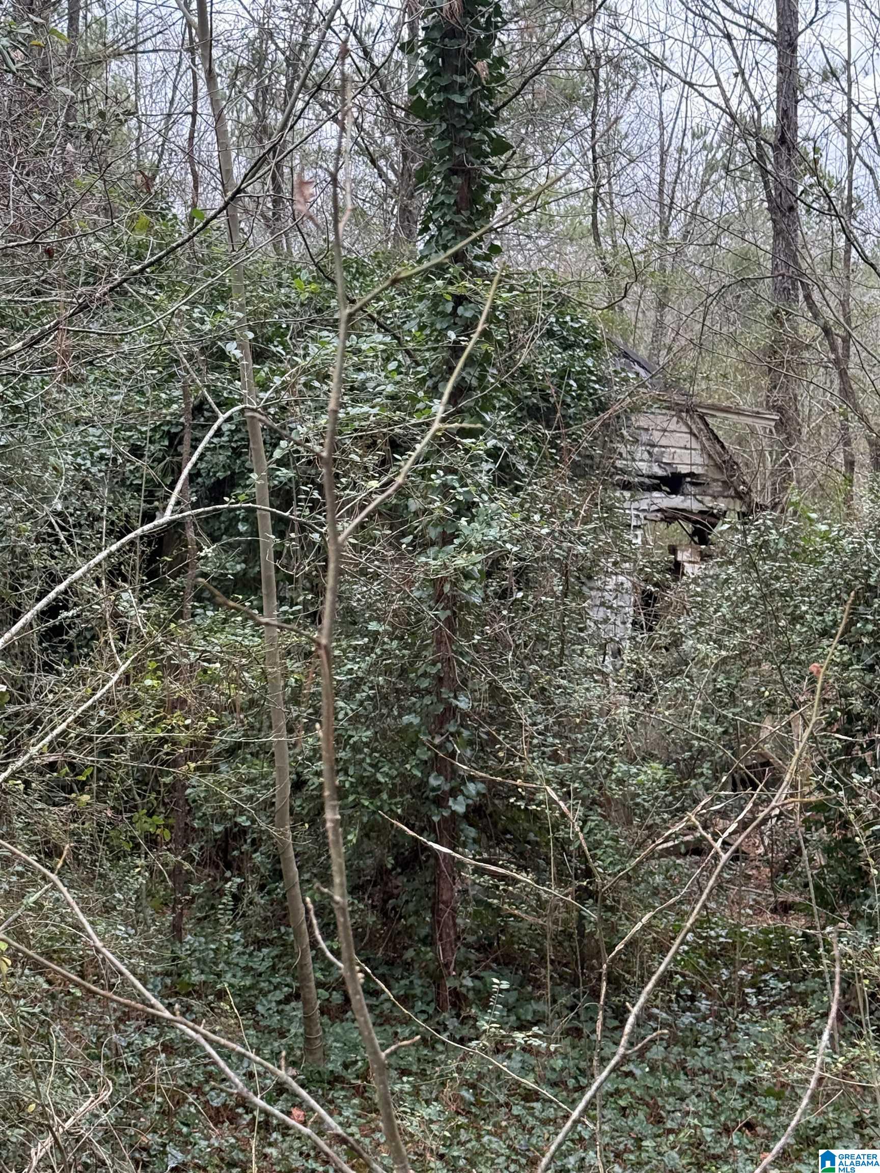 Homes for sale in Hanceville, AL | 0 Hwy 91, Hanceville, AL 35077 | MLS# 21440783