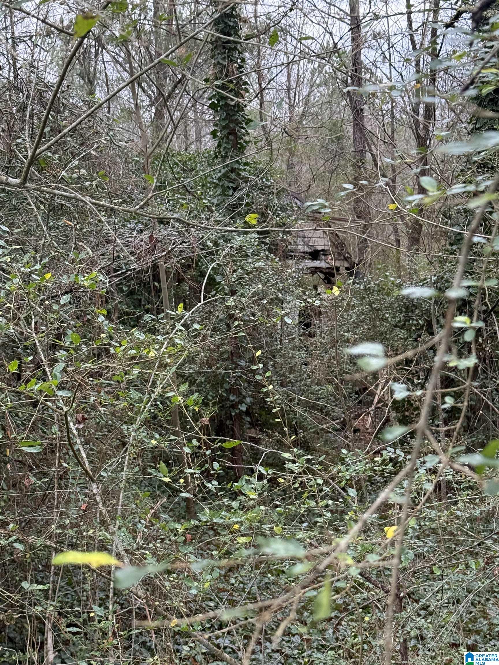 Homes for sale in Hanceville, AL | 0 Hwy 91, Hanceville, AL 35077 | MLS# 21440783