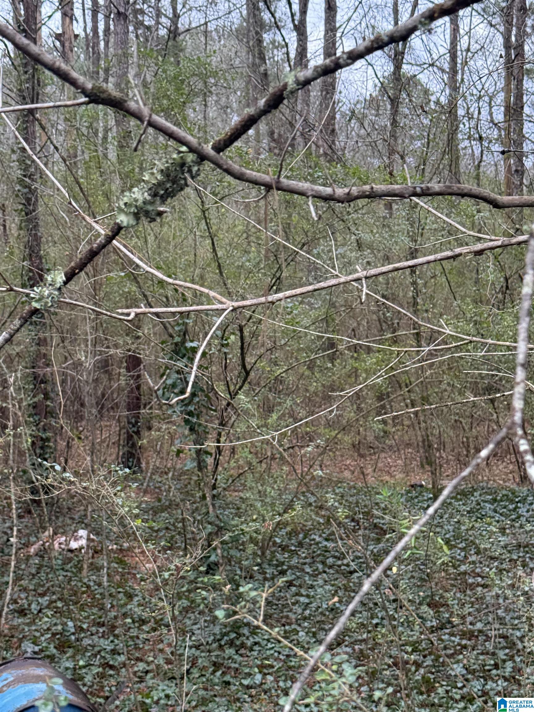 Homes for sale in Hanceville, AL | 0 Hwy 91, Hanceville, AL 35077 | MLS# 21440783