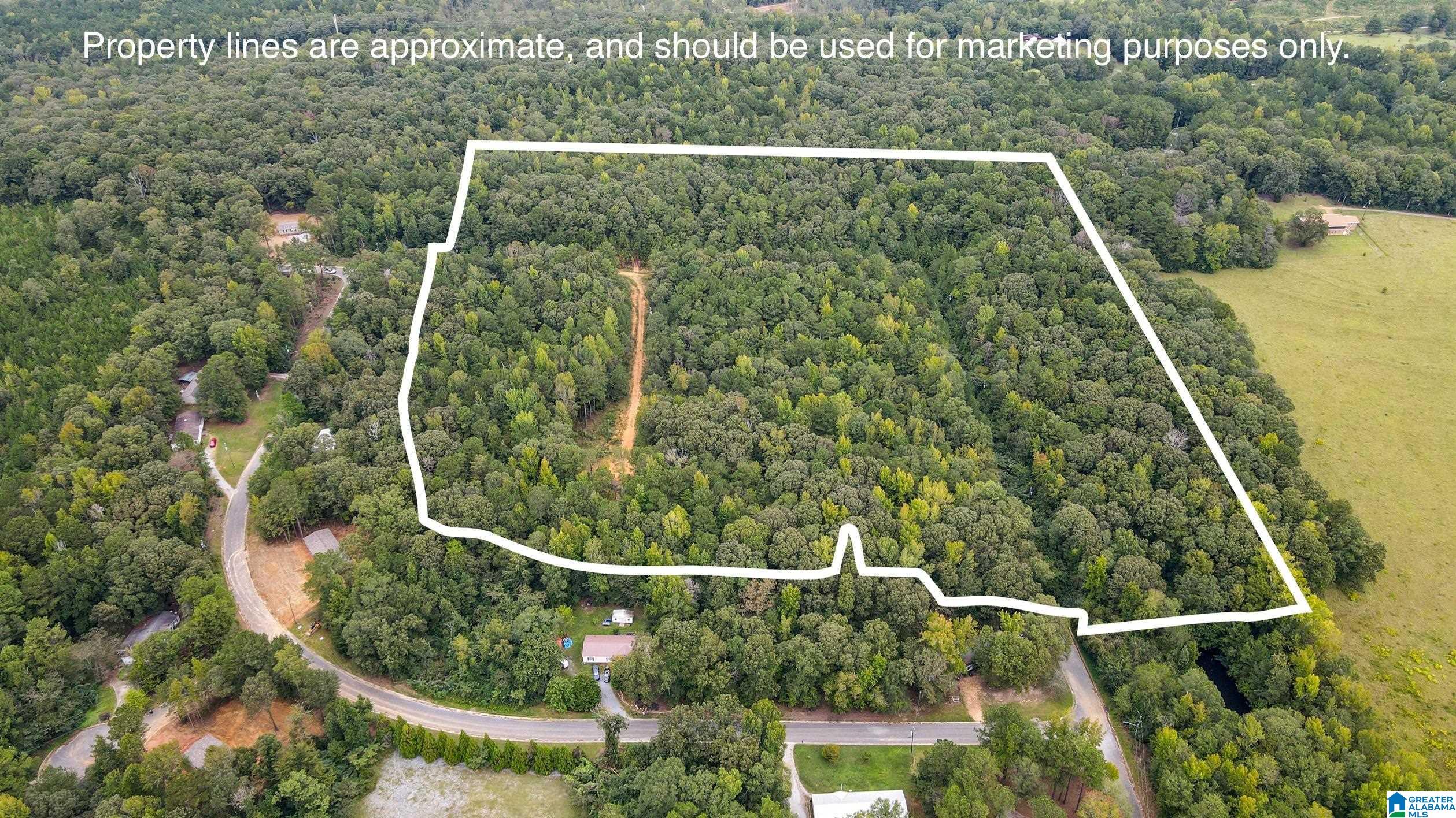 Homes for sale in Wilsonville, AL | 442 Davis Street, Wilsonville, AL 35186 | MLS# 21440784