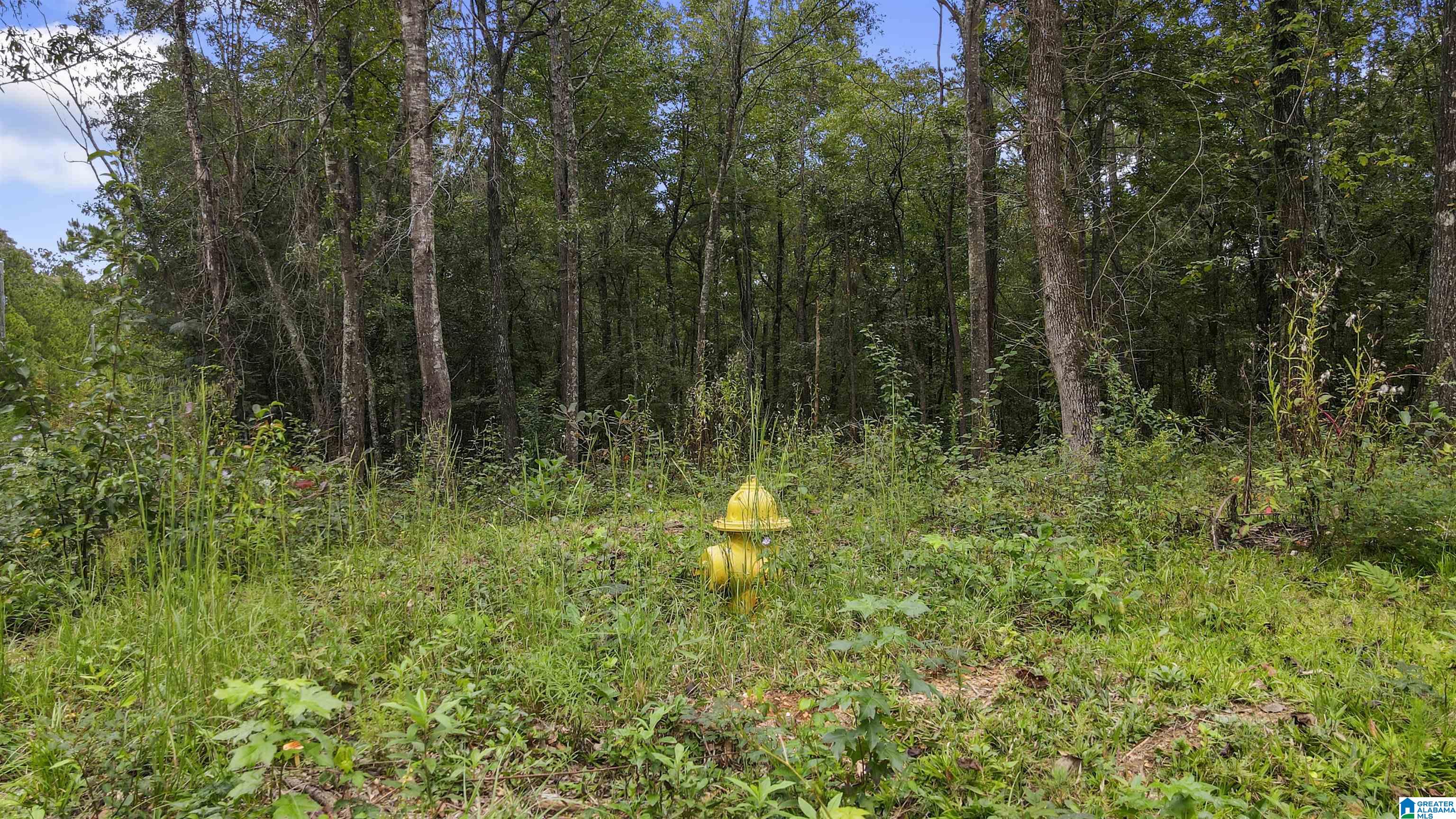 Homes for sale in Wilsonville, AL | 442 Davis Street, Wilsonville, AL 35186 | MLS# 21440784